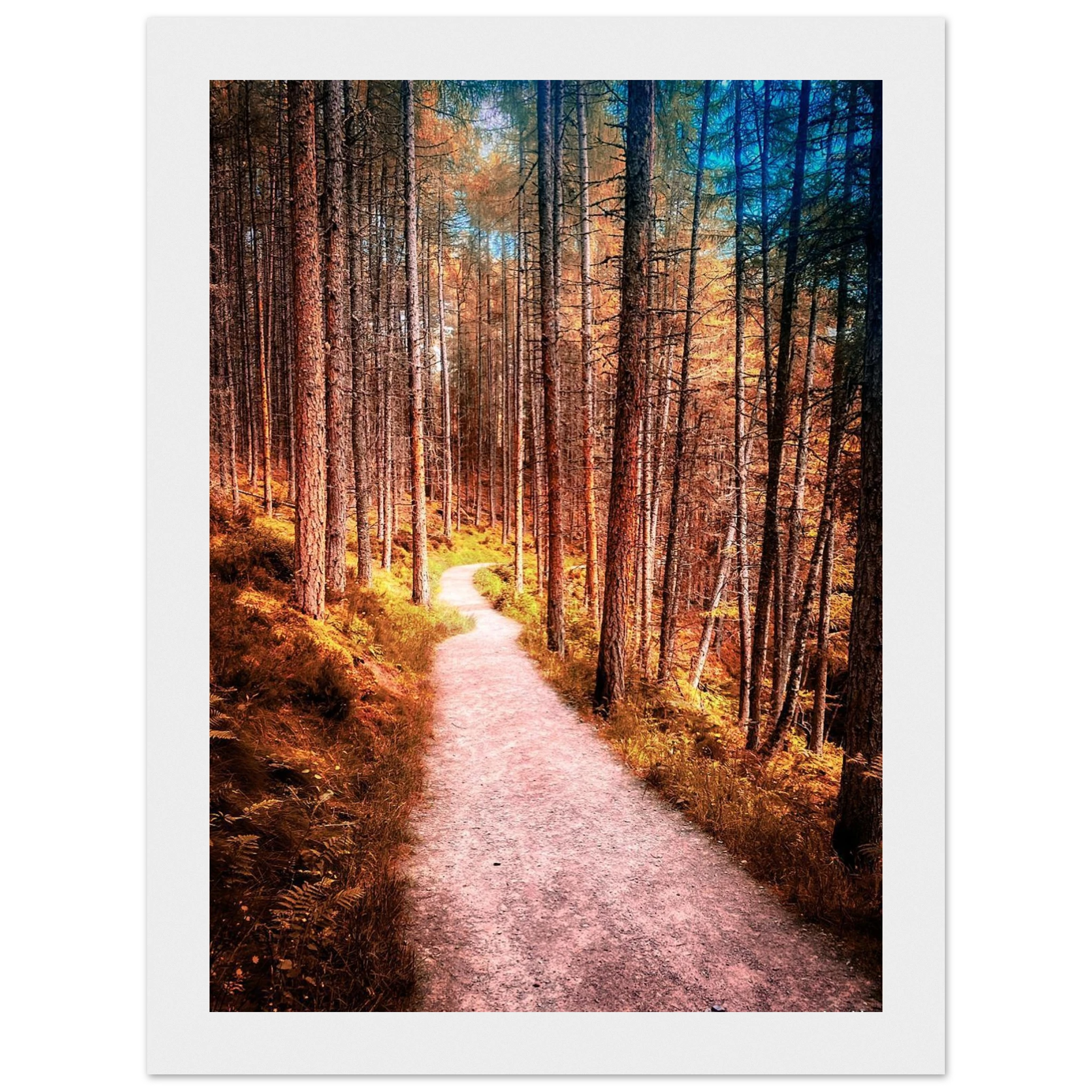 f31e82aa-f4f7-480f-b651-d6ff52e258dc