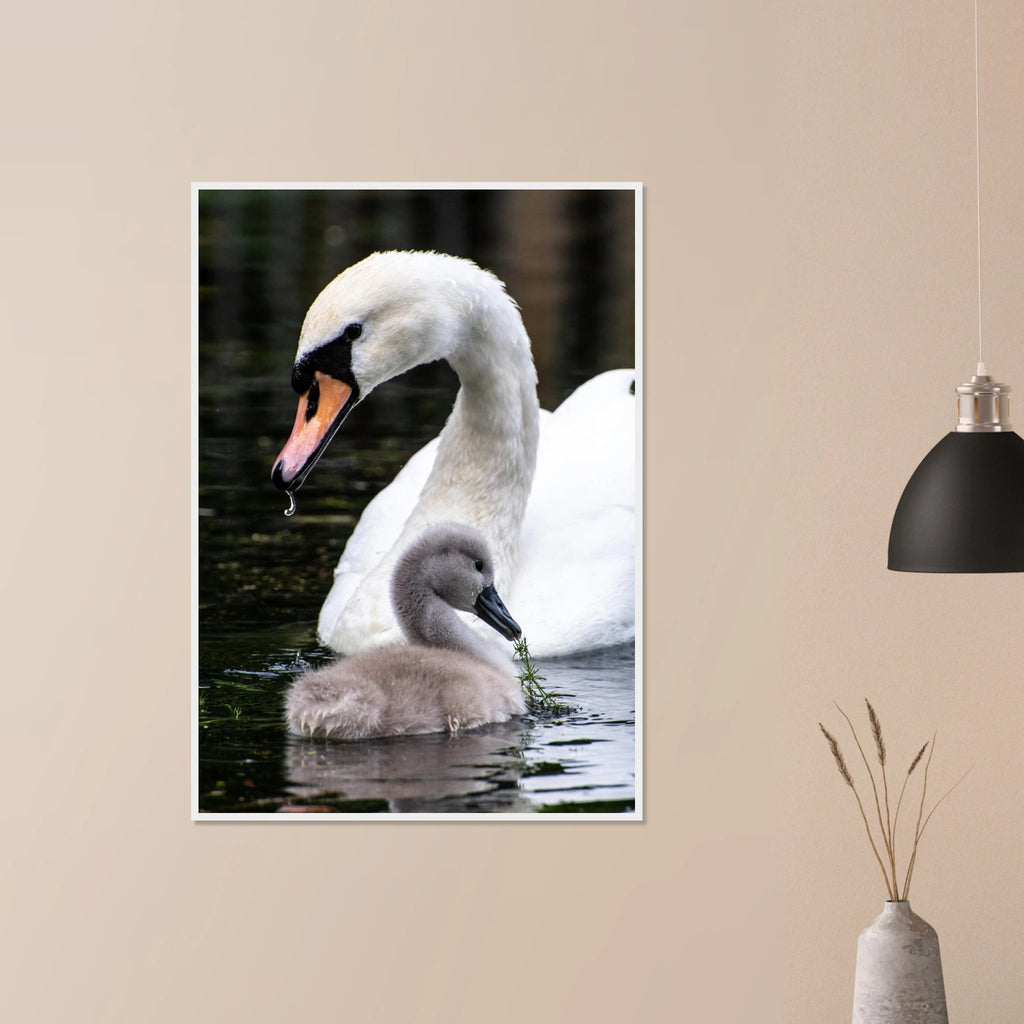 f3206104-efff-4ff3-b4a5-c9069f9589af