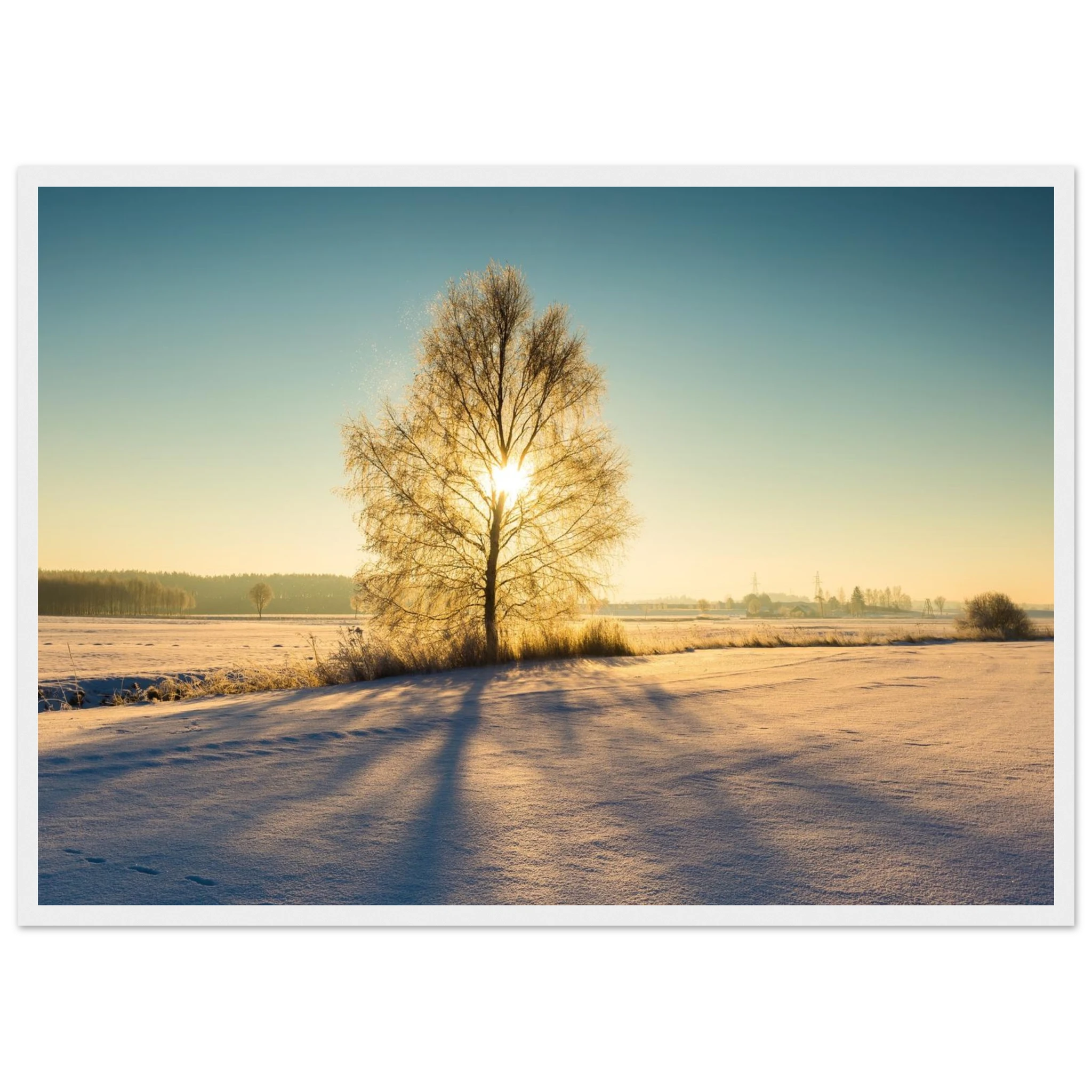 f32679cc-02ec-471b-bcfb-8442d9b060d1