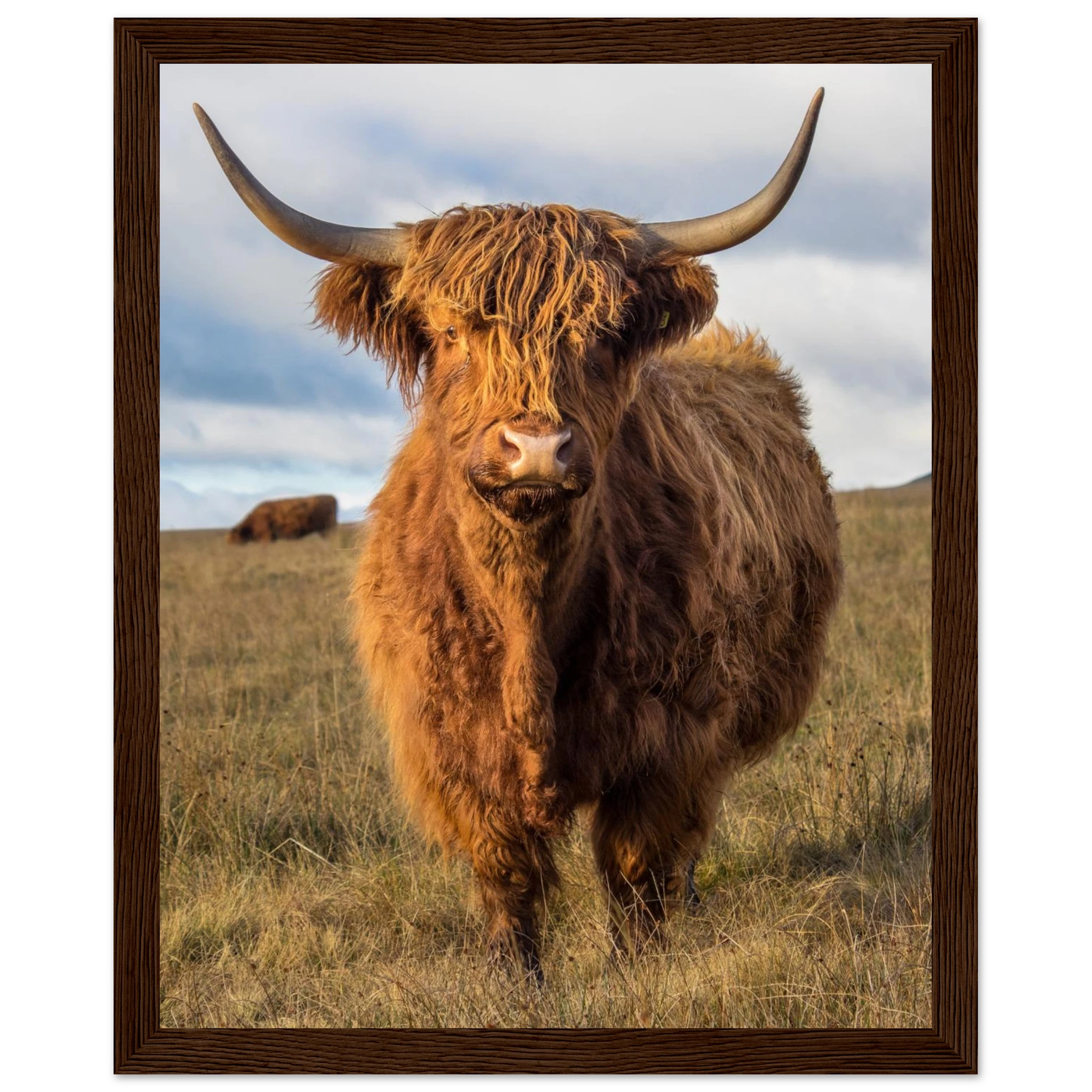 f32940dc-6e0c-4997-aaa7-5c718c6f7adc