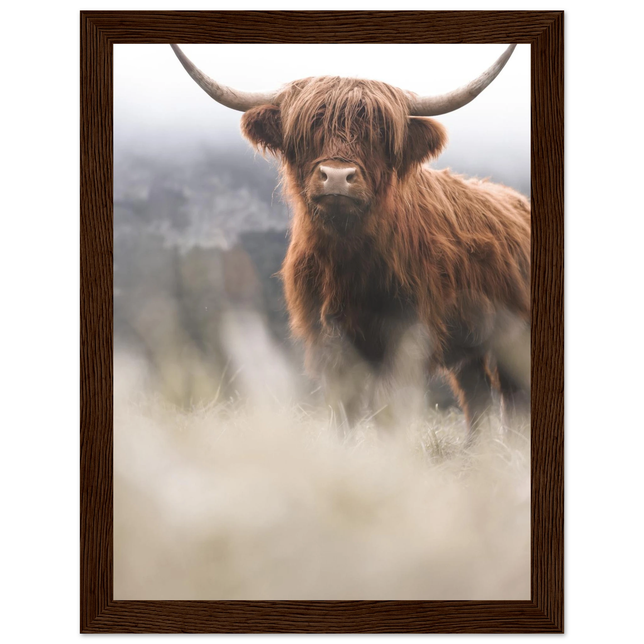 f34091be-2698-4e91-86c2-9238b126a205