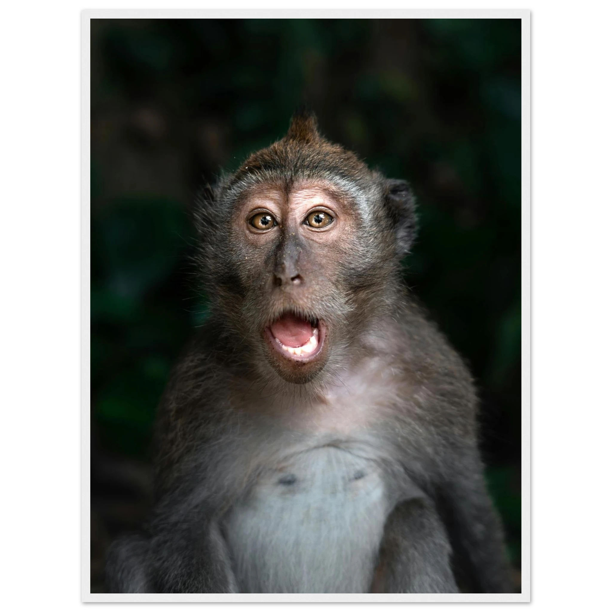 f359ab91-470d-449e-9721-78227288267f