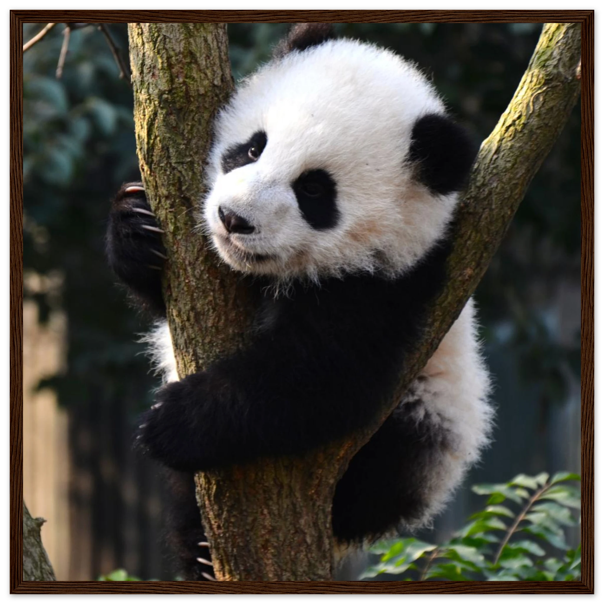 f3687171-7457-4403-8e23-9ea8a36bd3e7