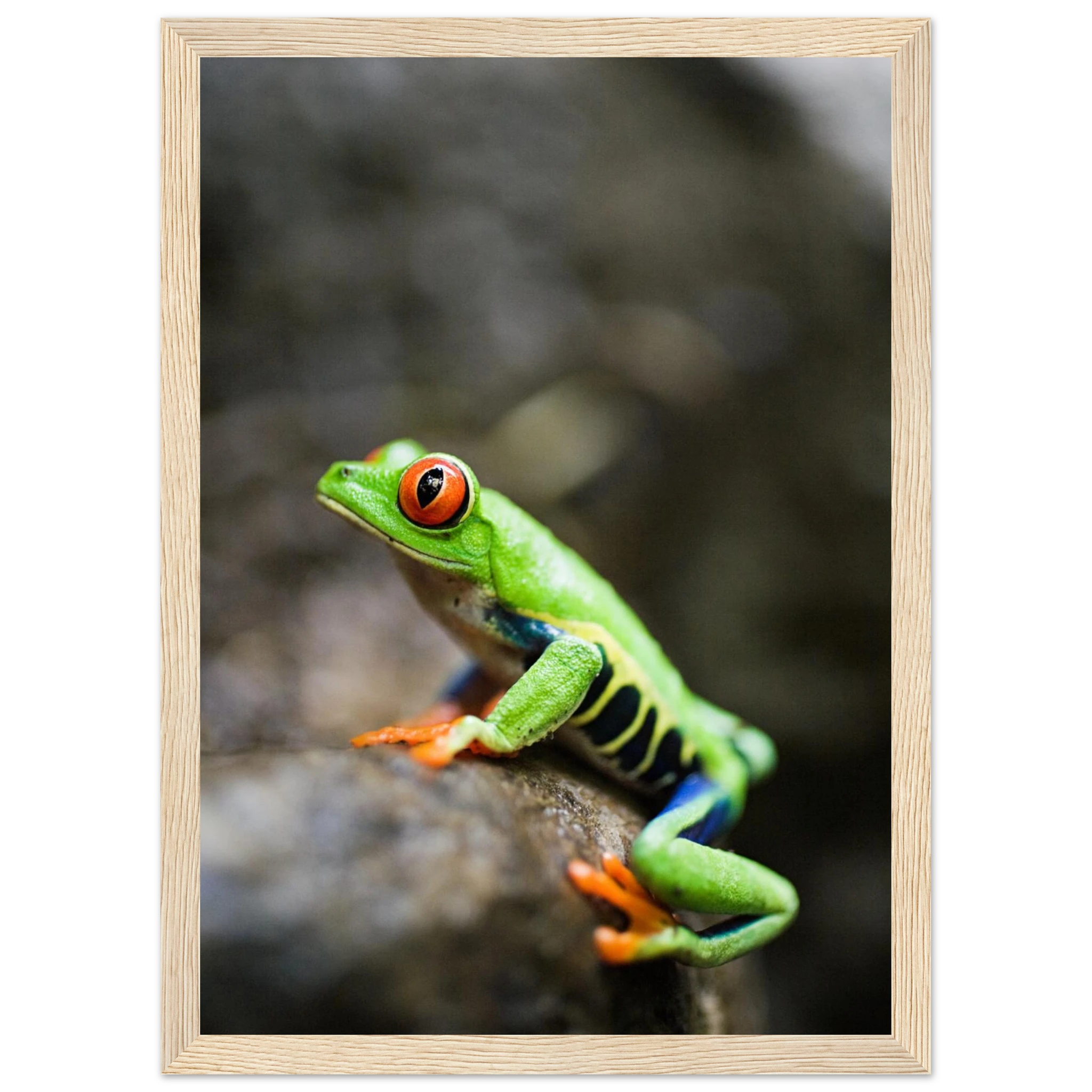 f37b8c5d-2a33-48a1-8365-160004e9952f