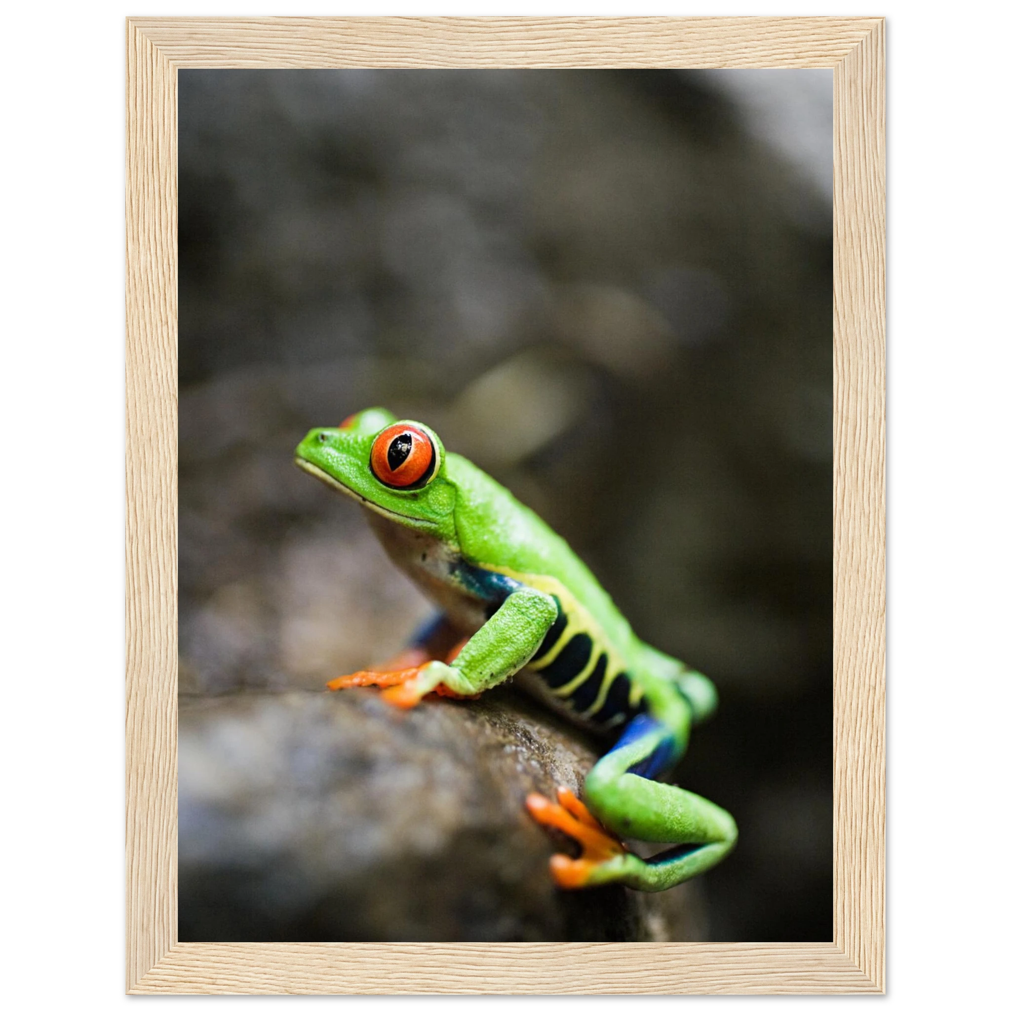 f38fdce1-09f0-4378-b6c3-0199095938d9