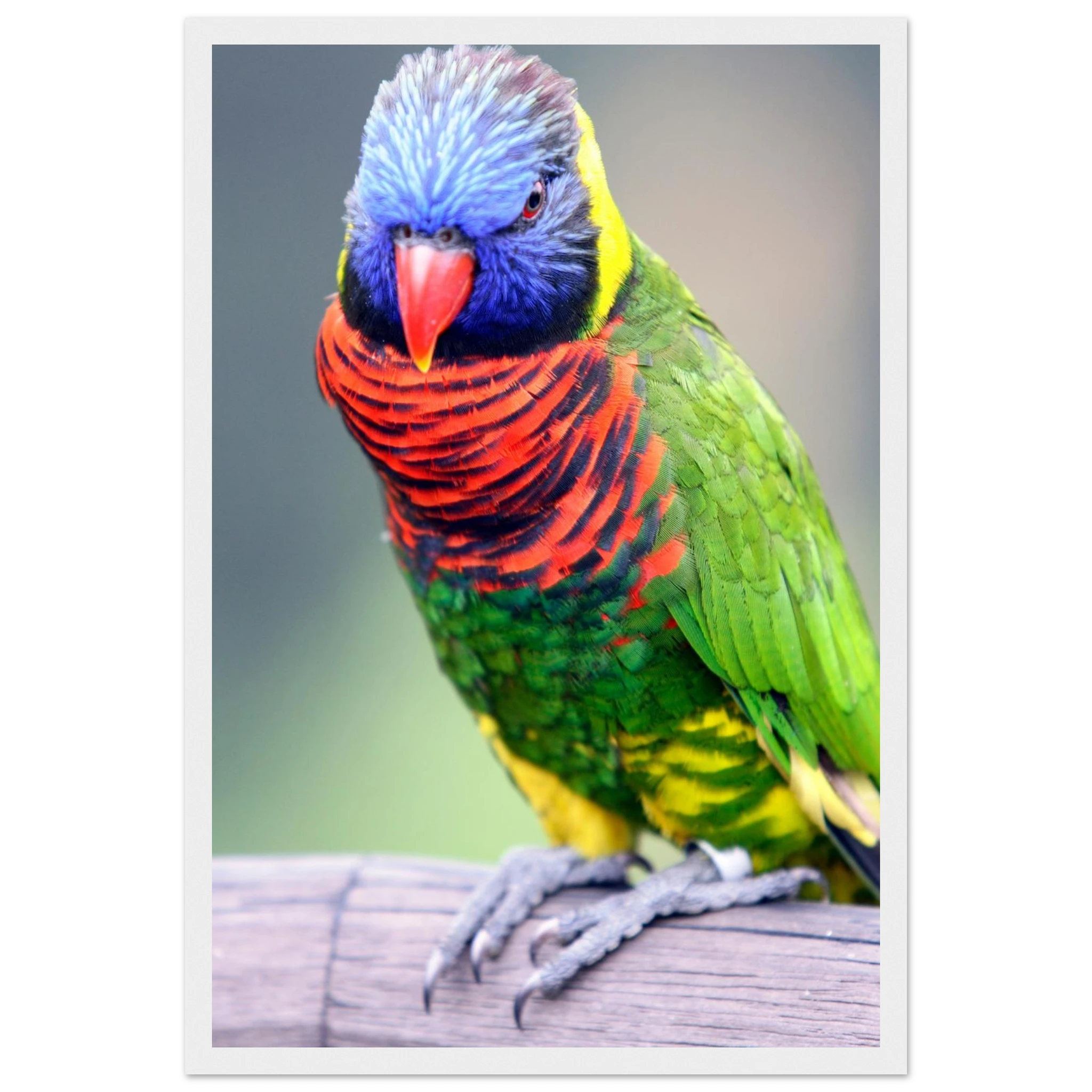 f3940a98-42f7-42b0-9623-04c707ef42b8