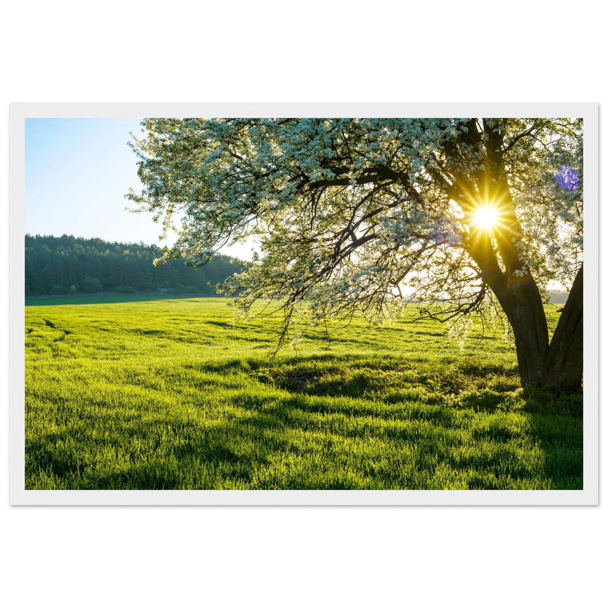 f396b2de-e24d-403a-b6e3-54744139412d