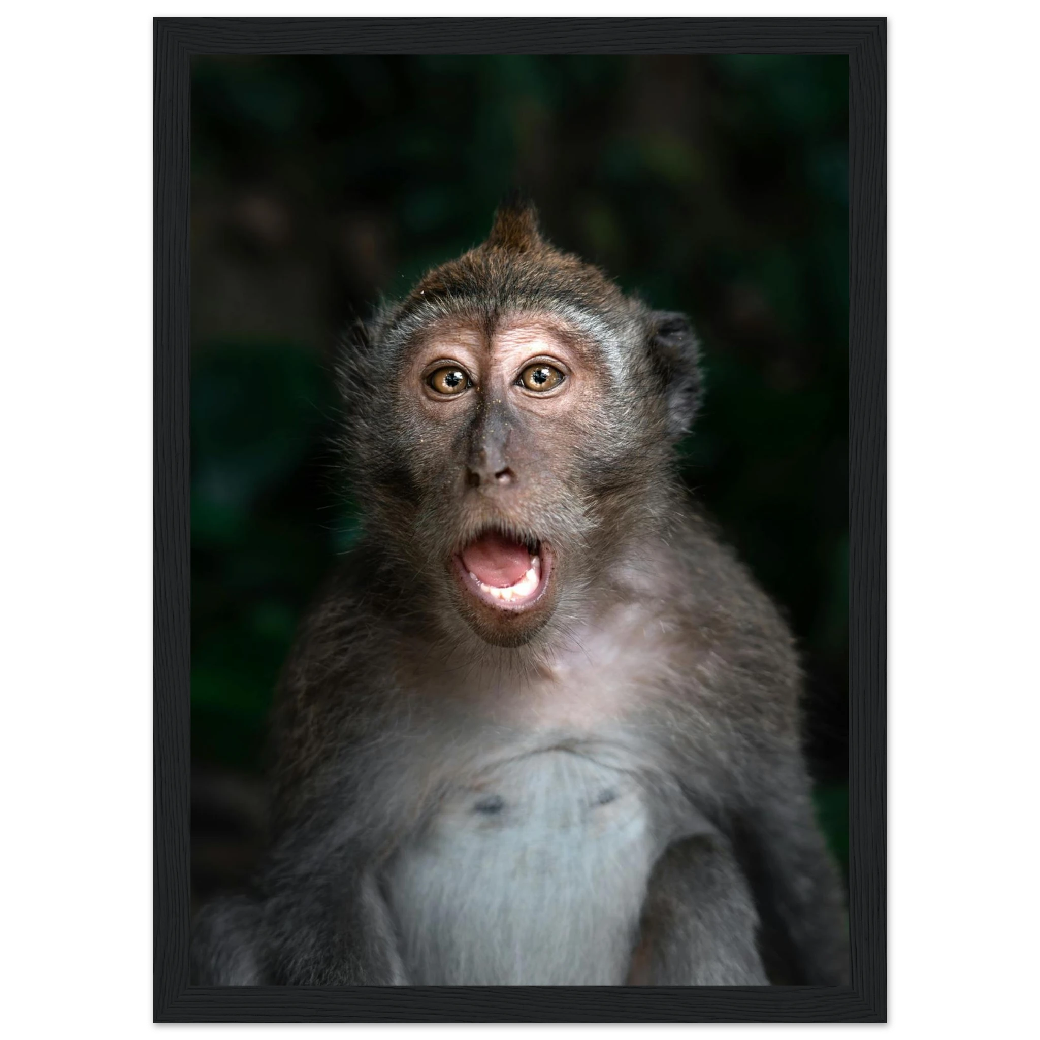 f3a35668-2b2e-479f-a08e-df9a00cb935b