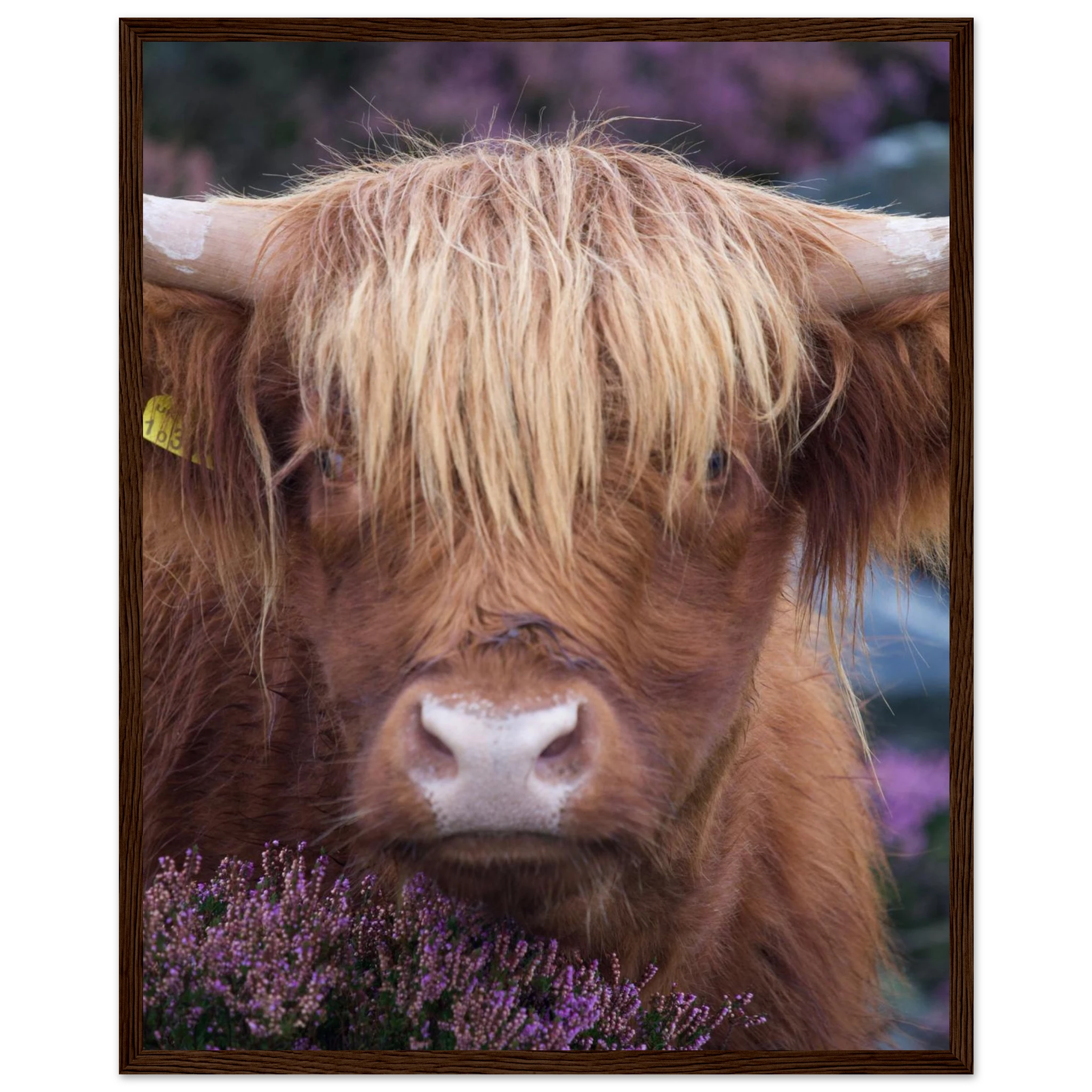 f3a59775-7880-4333-b626-8ab331d6d9d1