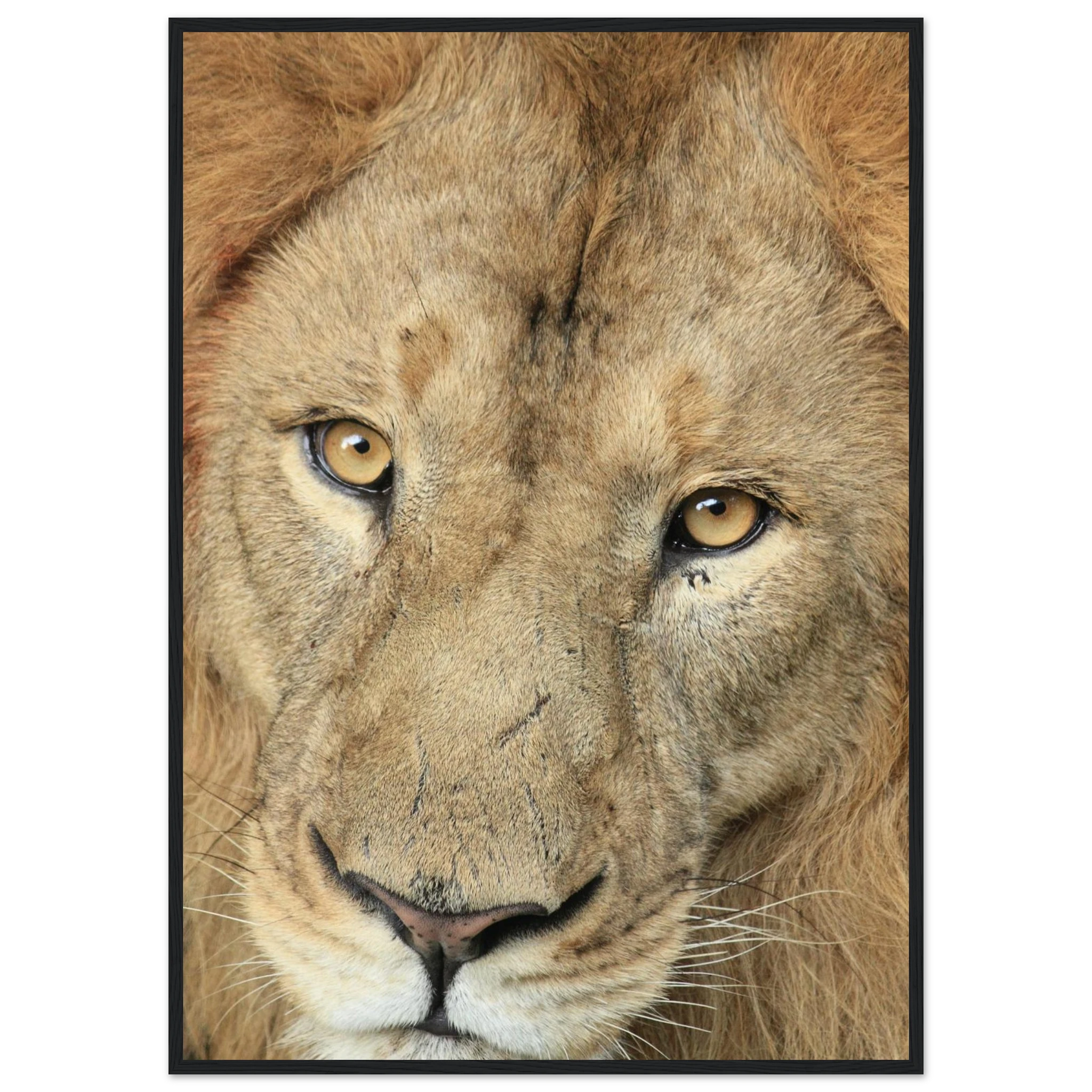 f3a711ae-0df1-4f47-98fb-d07ad4ef47db