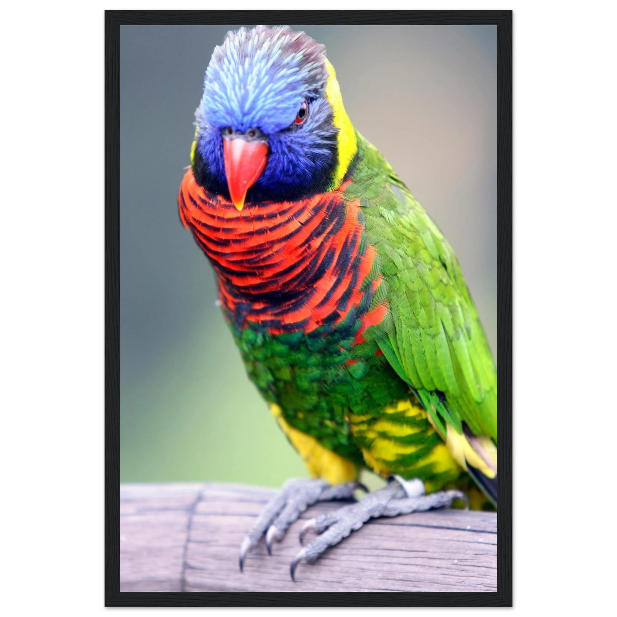 f3be9fd1-aa76-42ff-965e-e5cd99cdd739