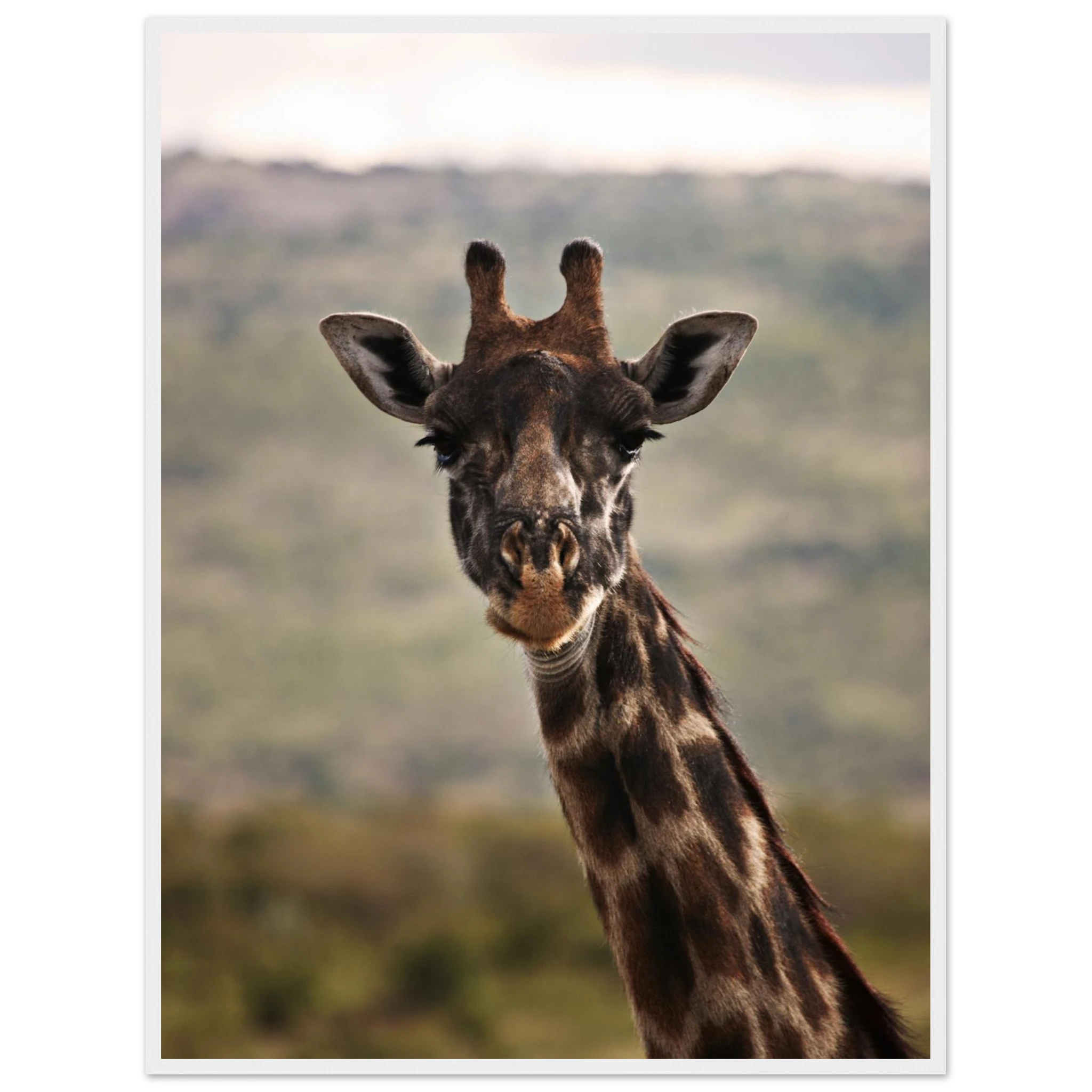 f3e0e818-904b-4e08-9ea7-619142dca422