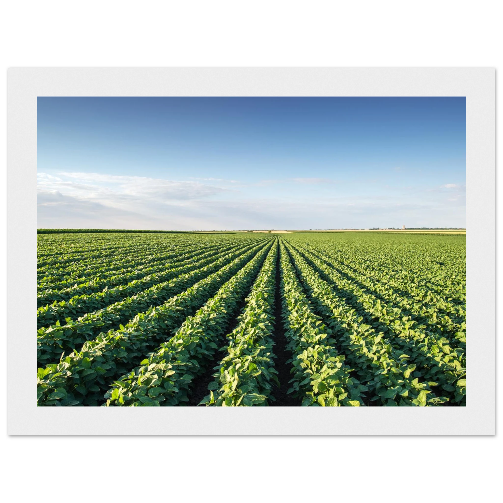 f3f6e5b9-aab6-4bf6-82d5-0e1b938e70bc