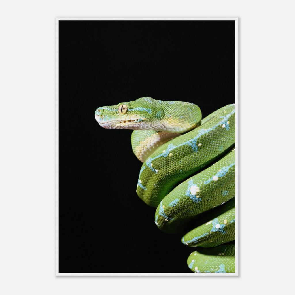 f42194bf-a1b6-4522-b1cb-c8d6fe5739cf