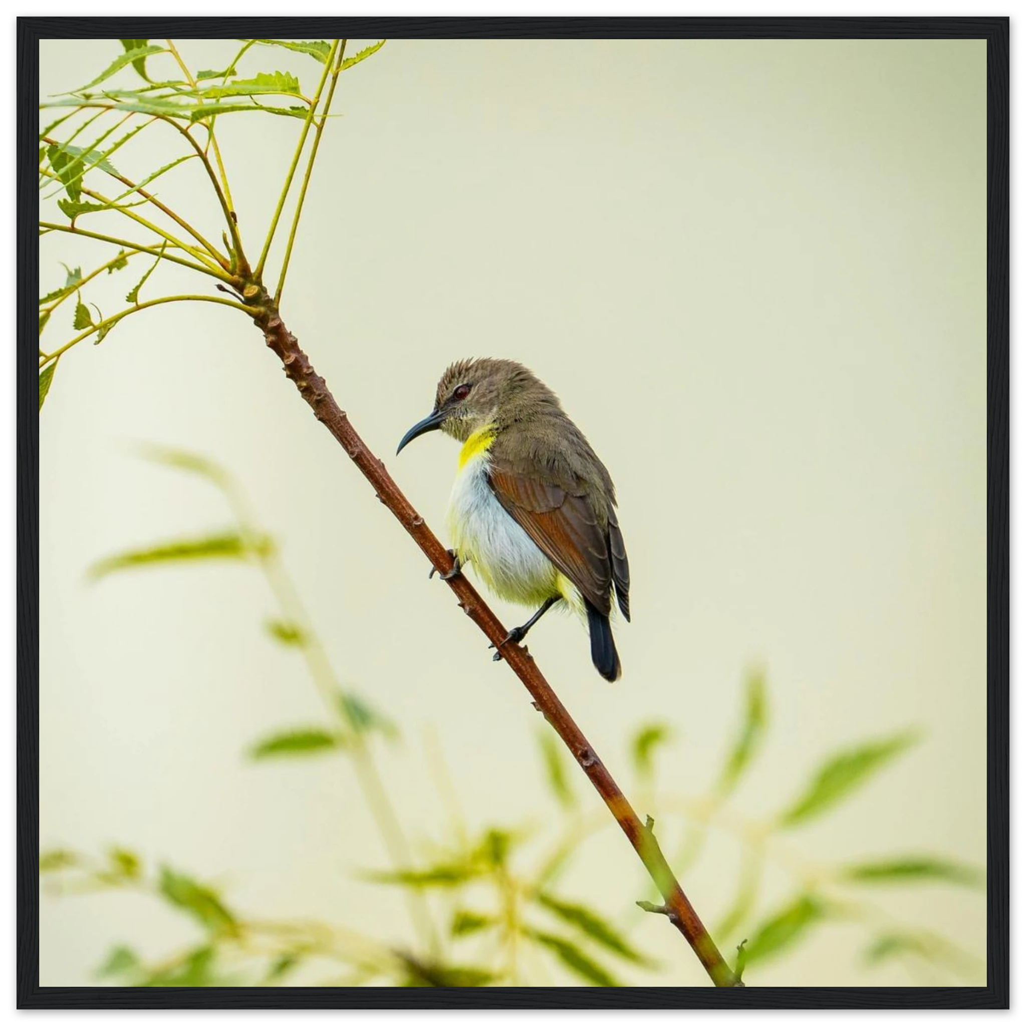 f425e05f-8377-4f51-808a-e1d97c349b7f