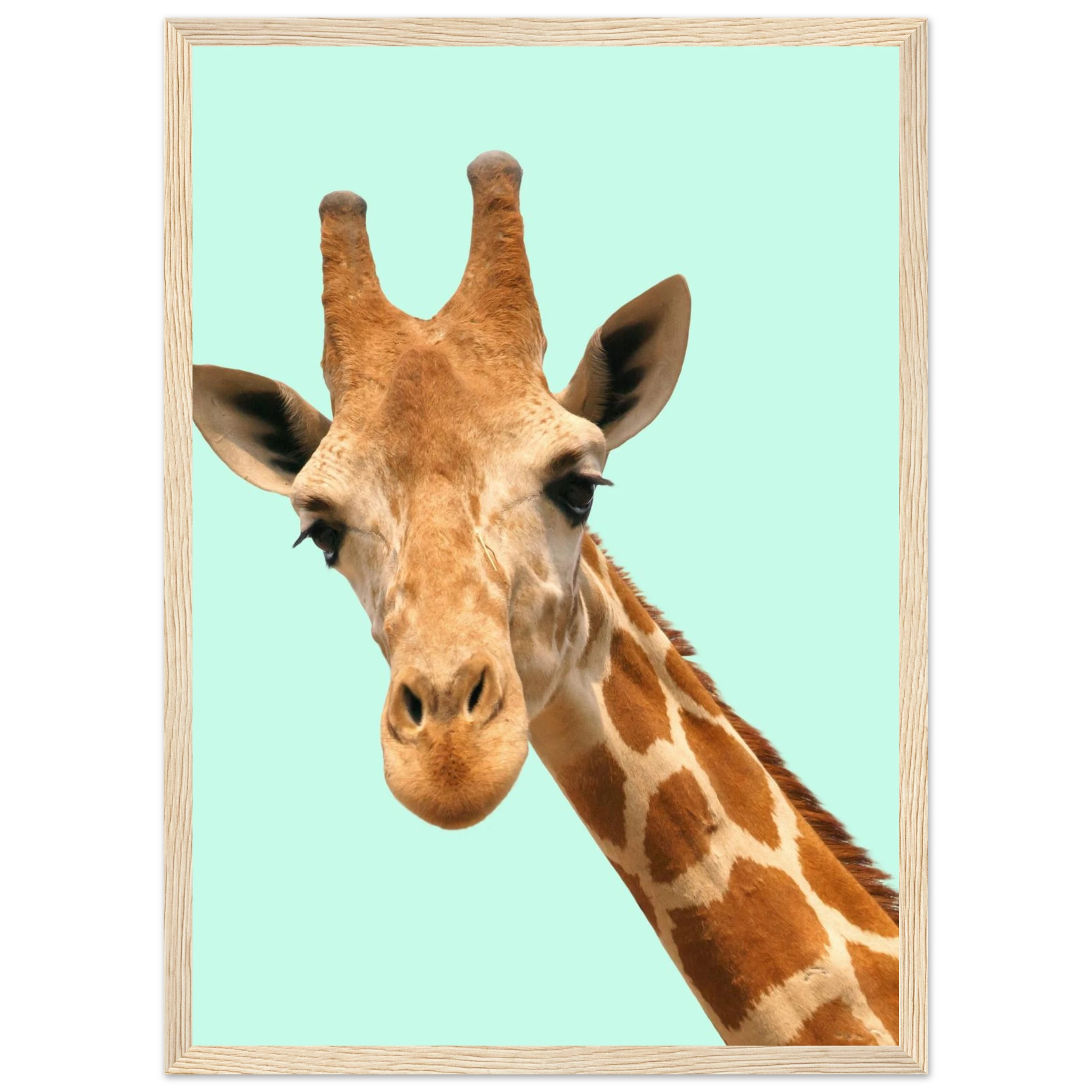 f4298573-76d7-4e01-8624-200a96ada599