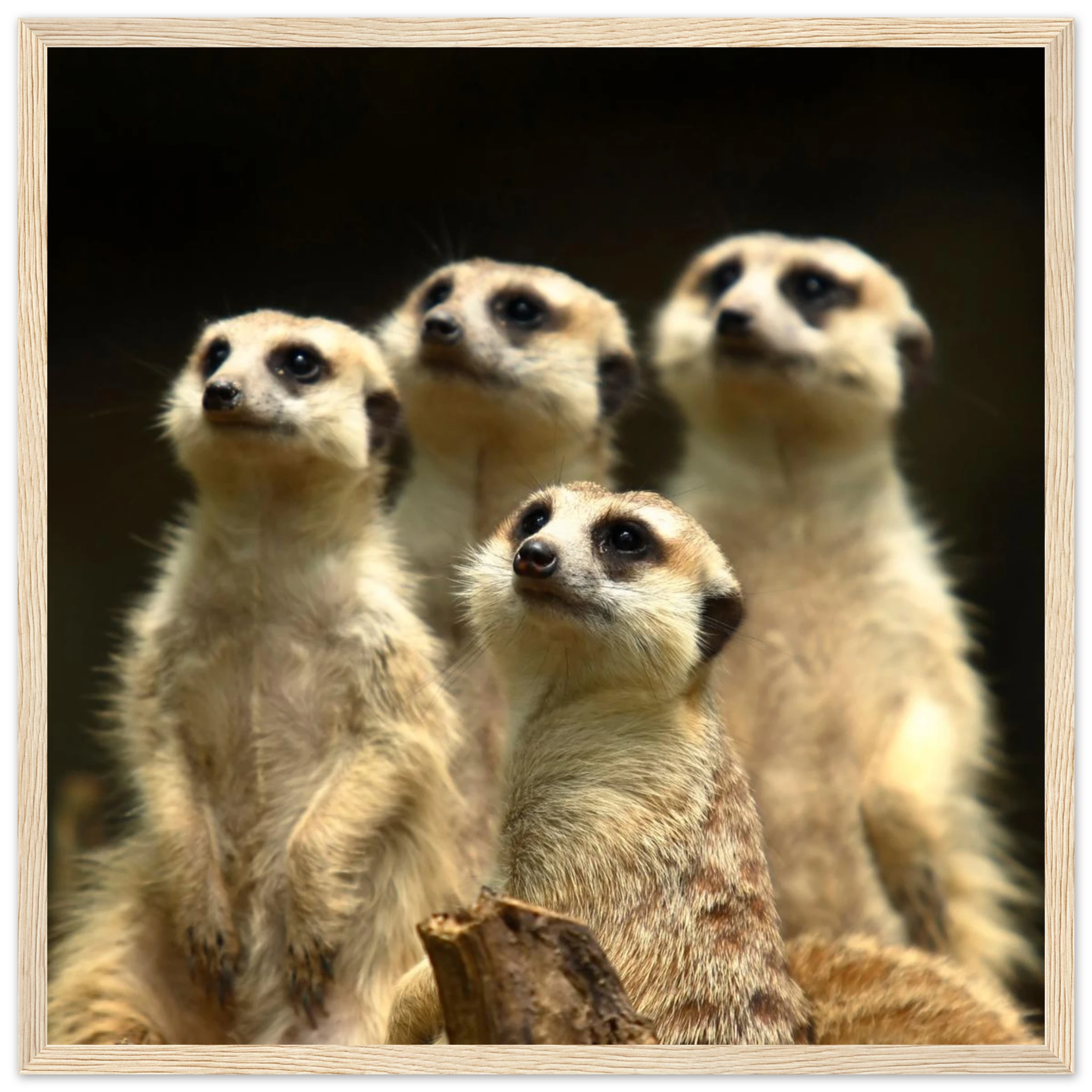 f433e493-dc6f-4ad8-8747-ee59cf4dde95