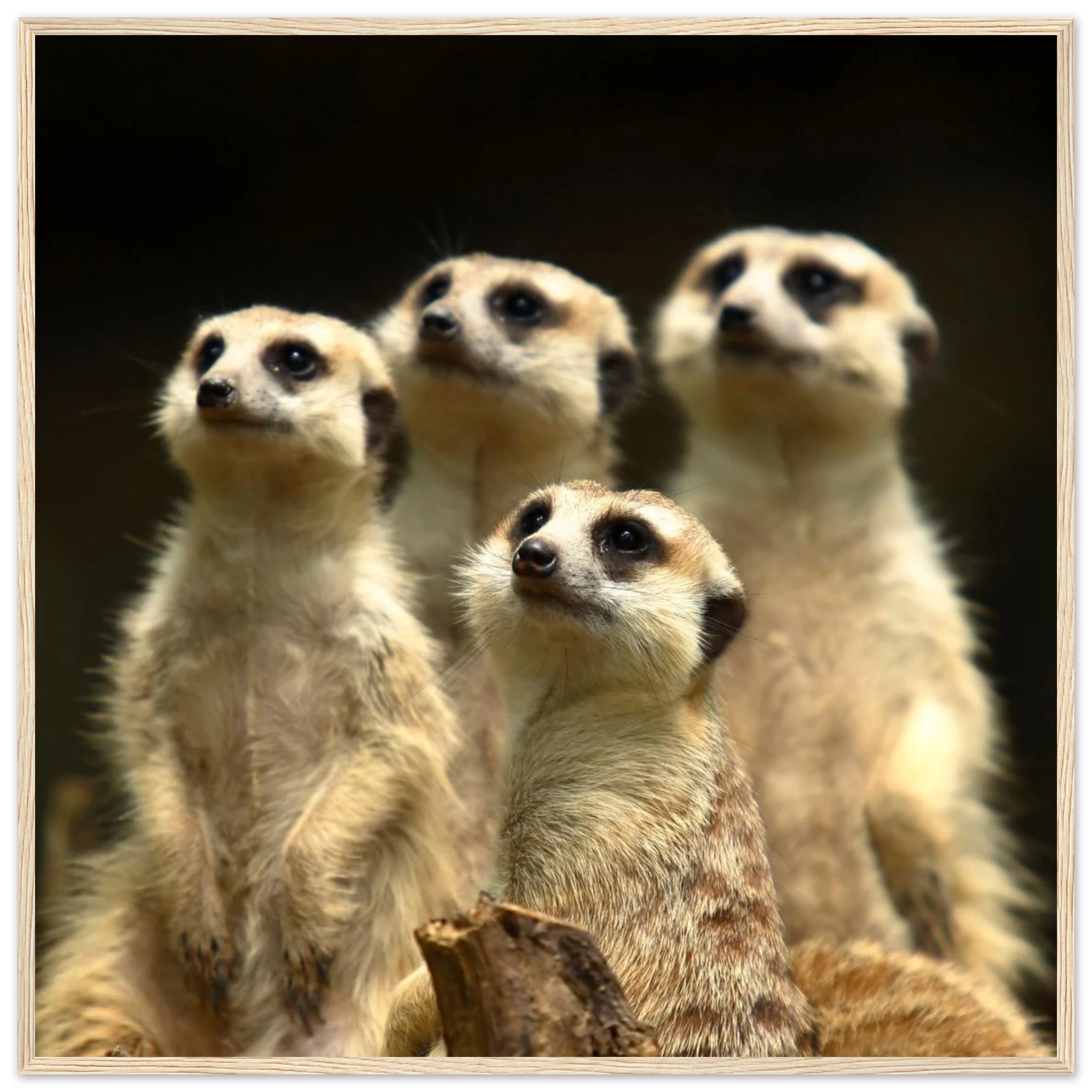 f43a6c97-6068-461d-9b81-f9fafe7115c6