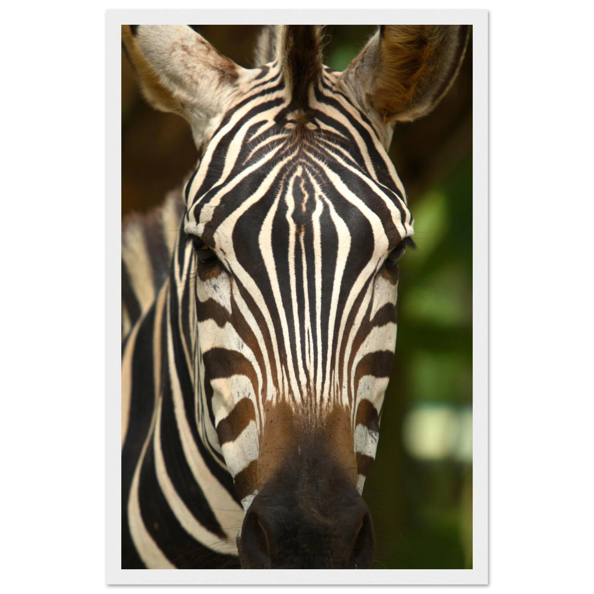 f451171a-a5b0-45aa-b61a-869007dfa418