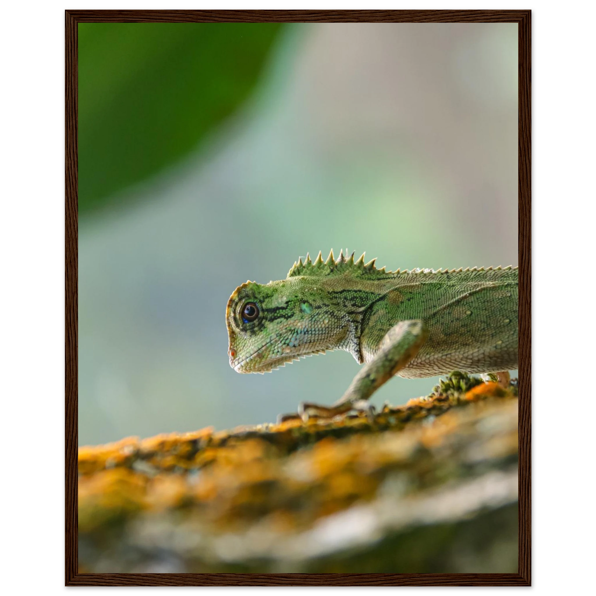 f45f221b-2998-4214-93b9-0c053c06faea