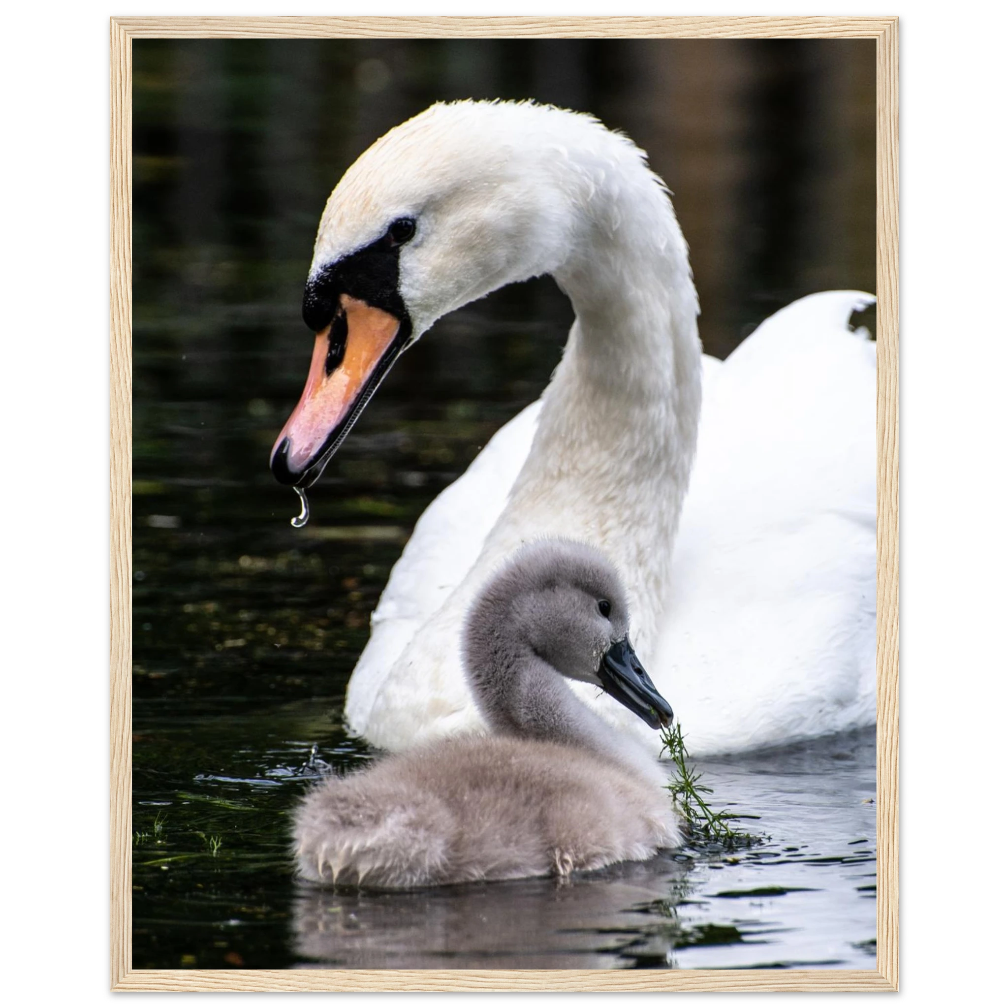 f483ae8e-b464-4885-bebf-93a8125270e3