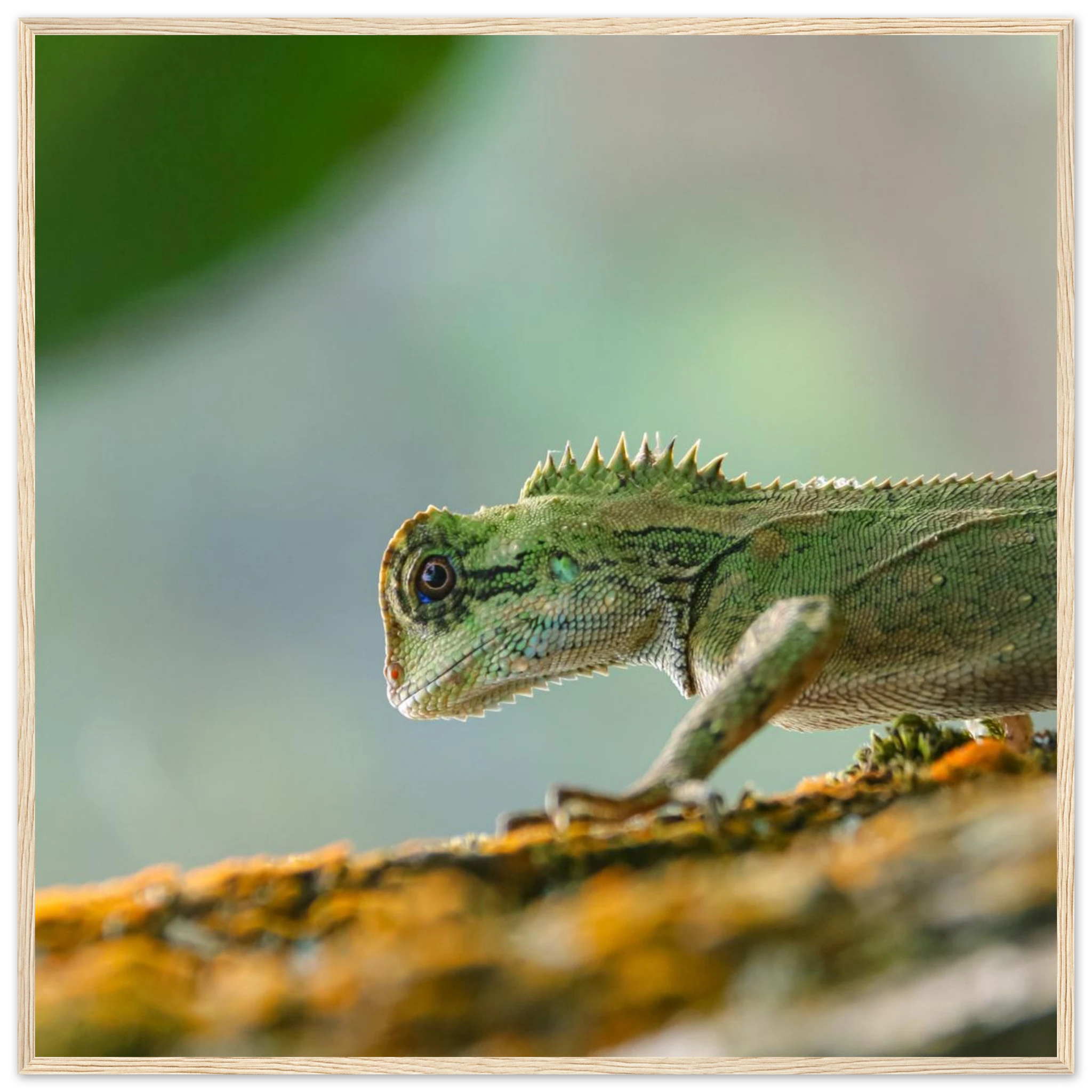 f486deb5-fd18-433e-8402-6a04af56e04c