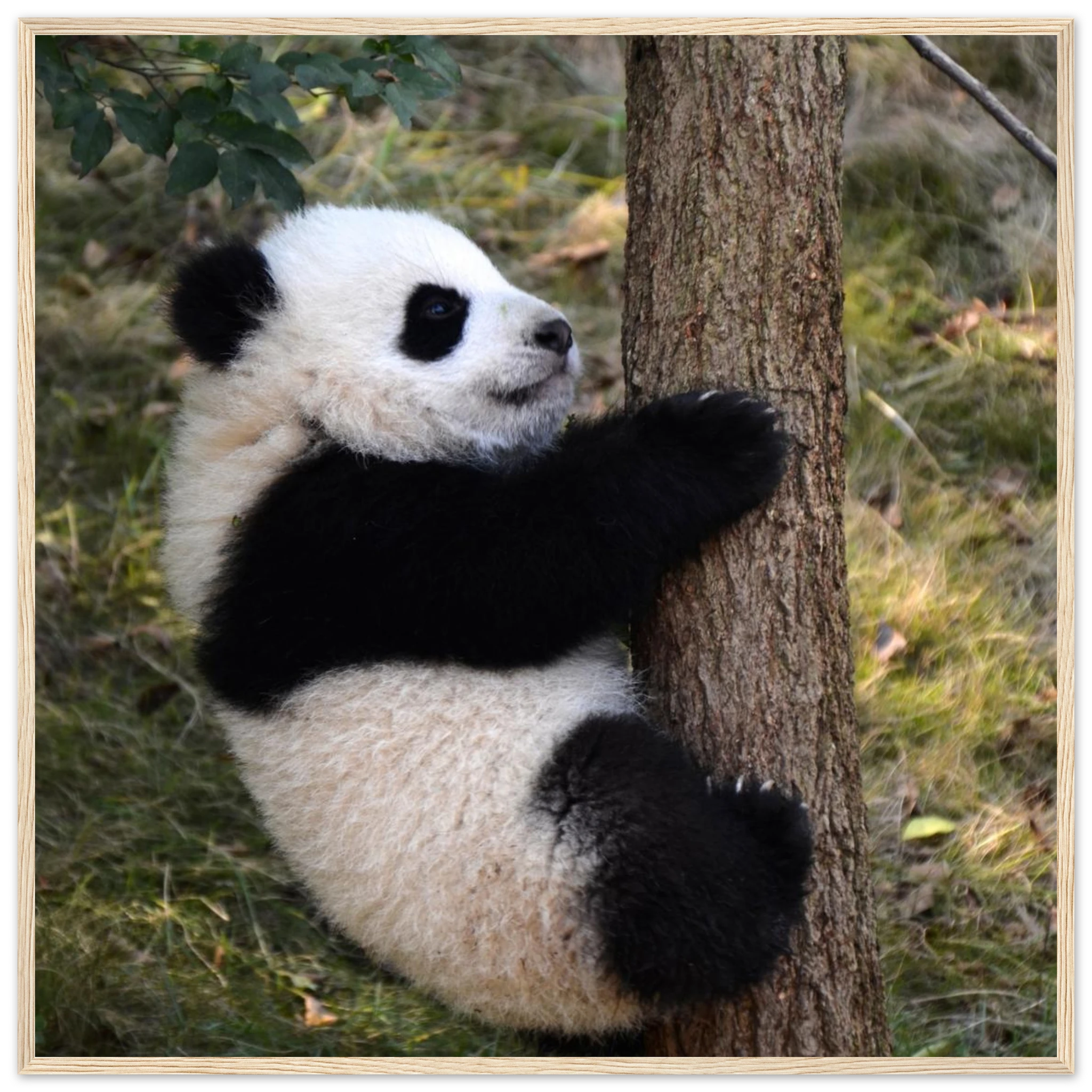 f490d3af-9670-4796-a17f-4aad3fb7deab