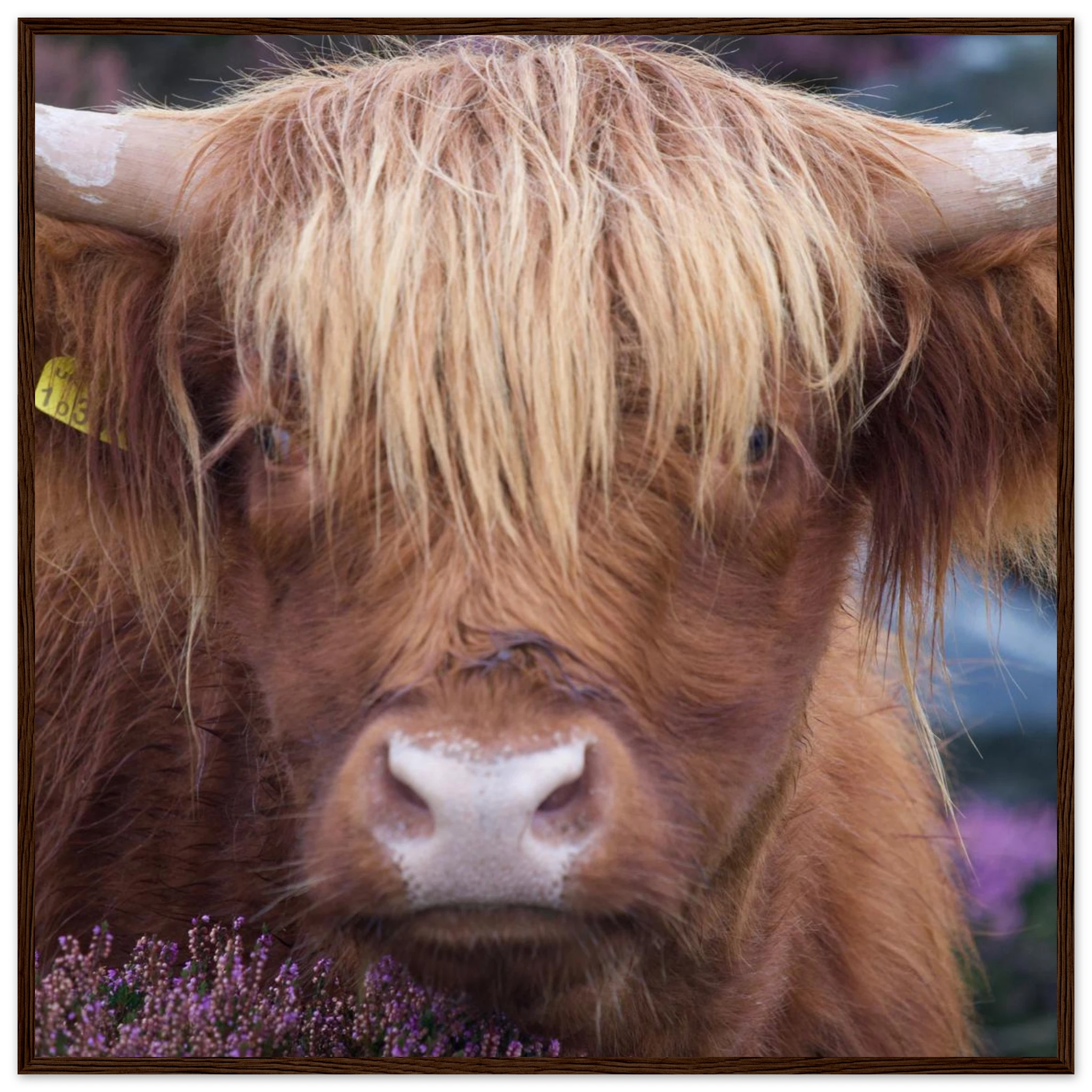 f4acbb68-7e5f-4748-976a-624daaf914c8