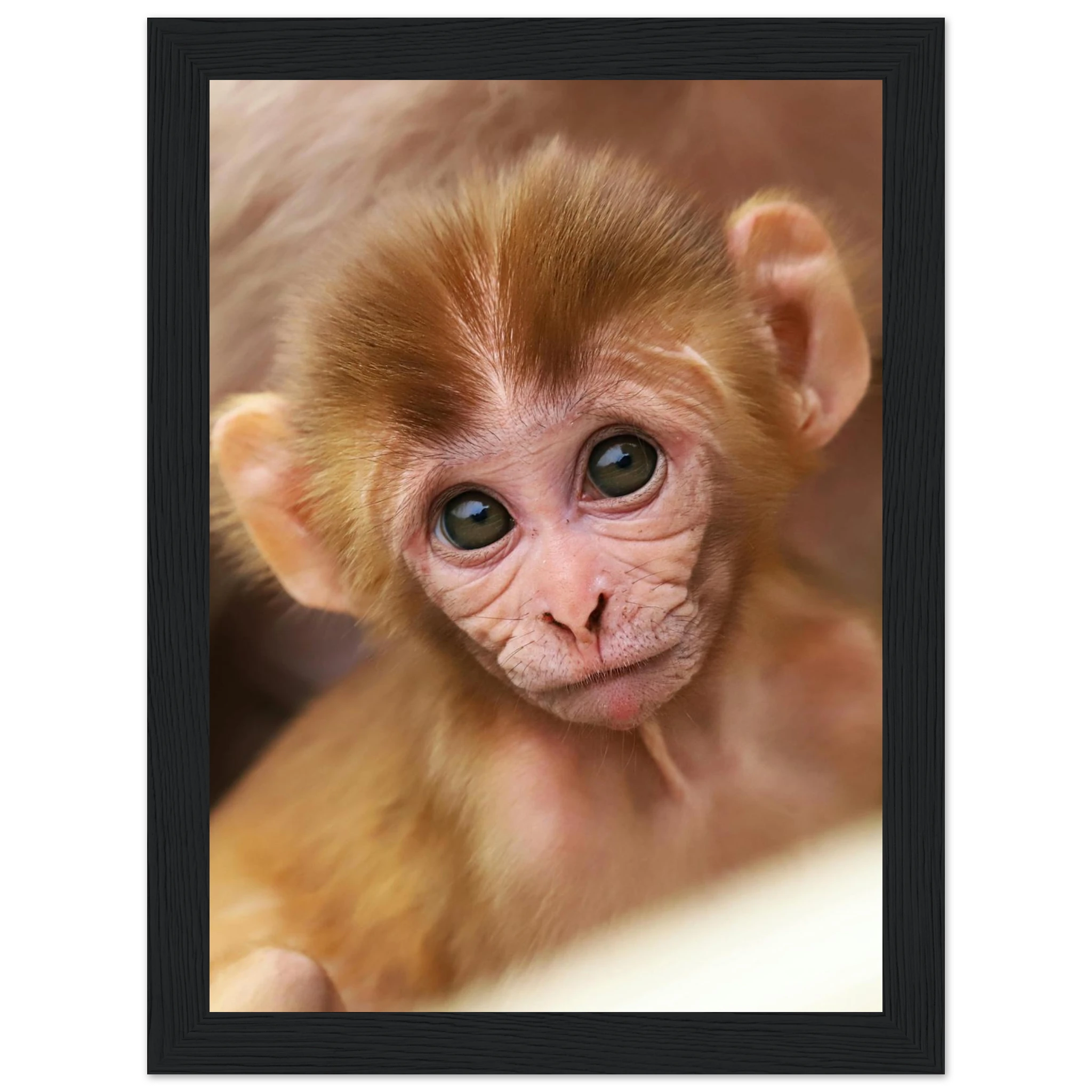 f4d1c918-1c70-4245-8cb2-bda8c9823e04