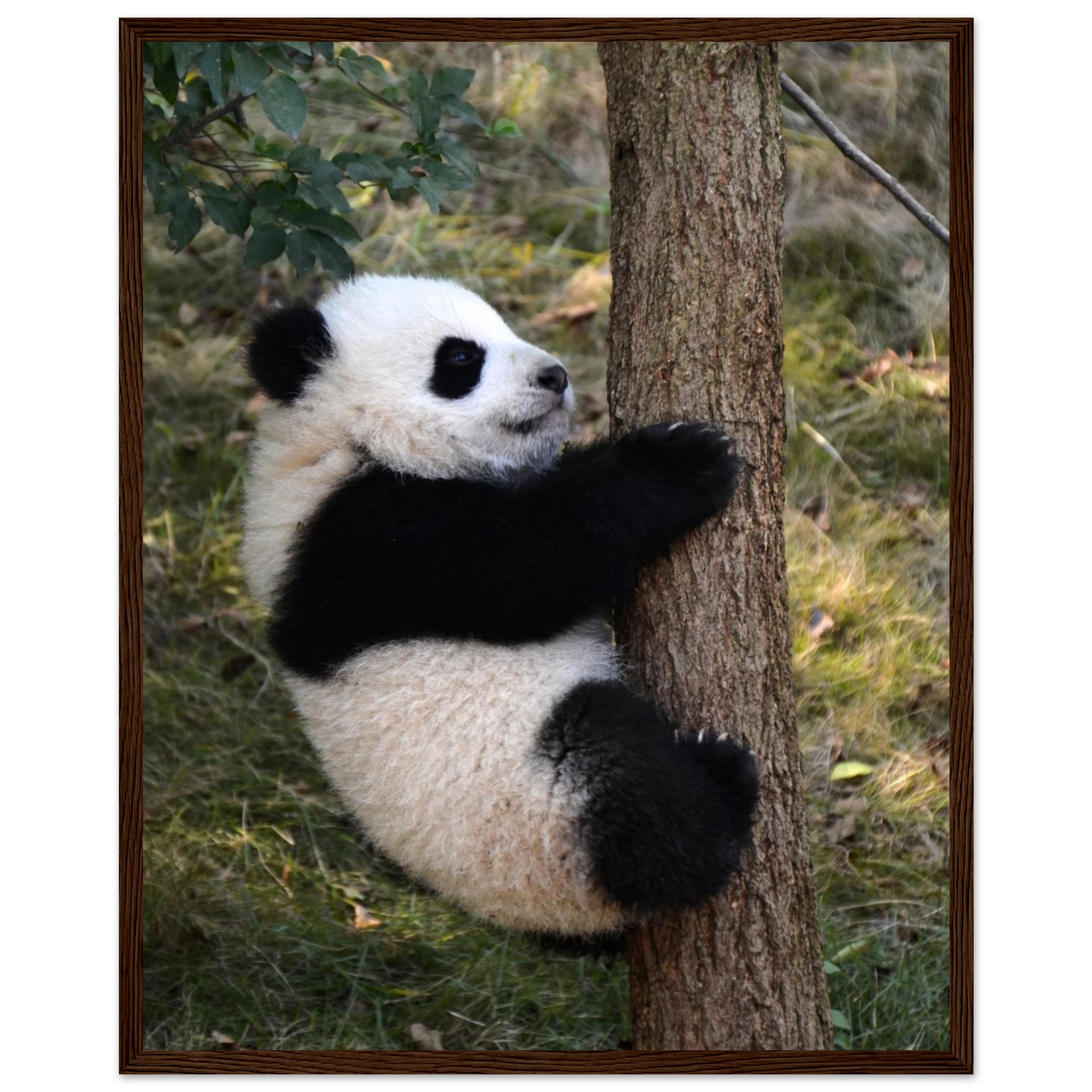 f500d472-6323-421a-9cf5-7d98cac03cd0