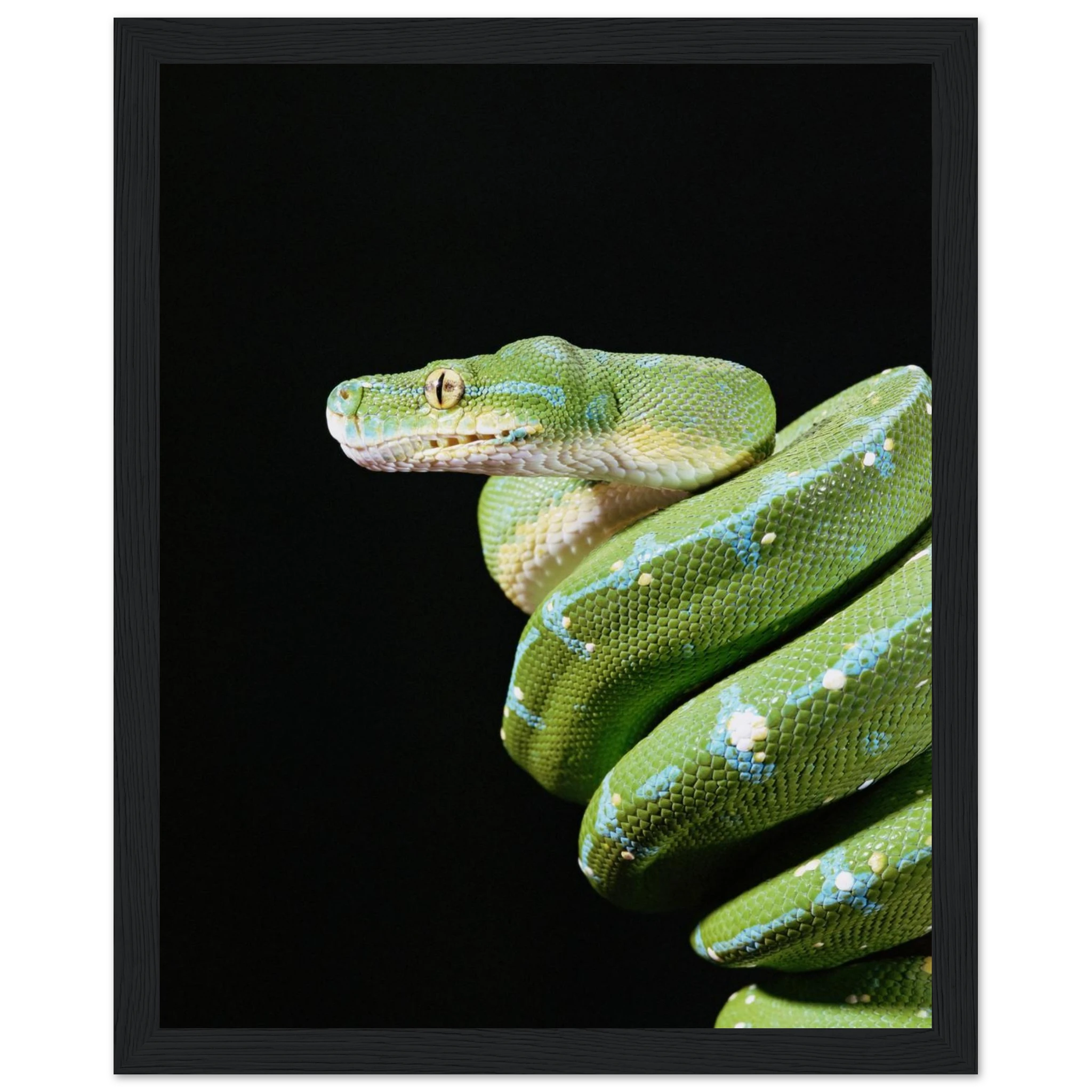 f51dfff3-54c0-4396-a622-3735caaca381