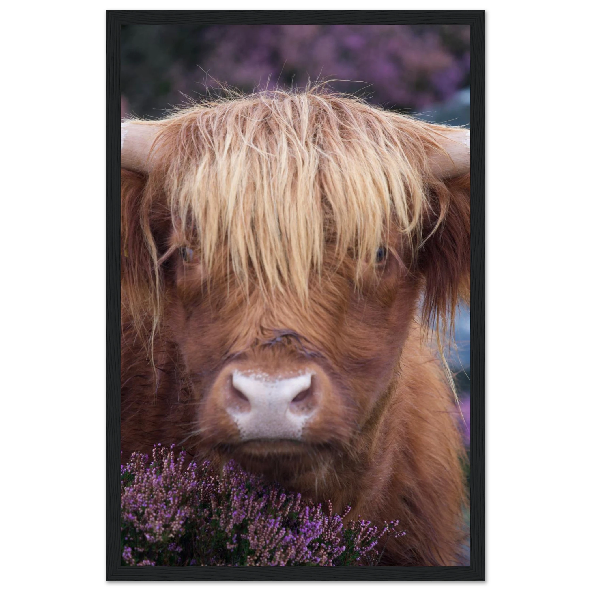 f53071cf-61b6-4b85-923d-8a34079e4cdf