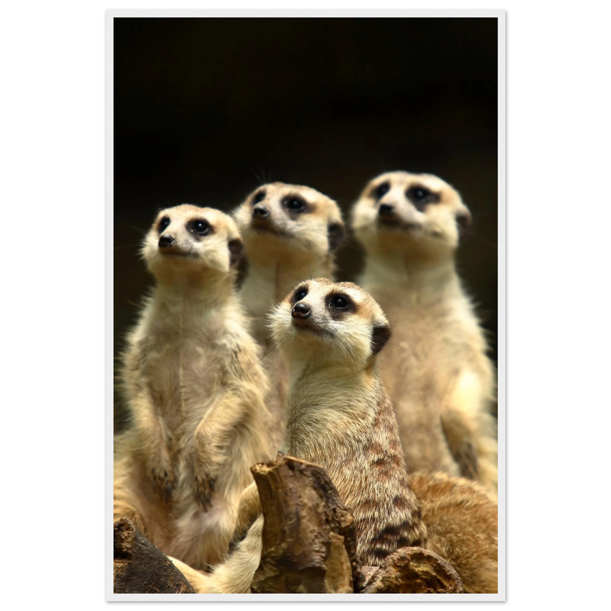 f5b26b2c-1671-4b66-b3f5-d21f21b56312