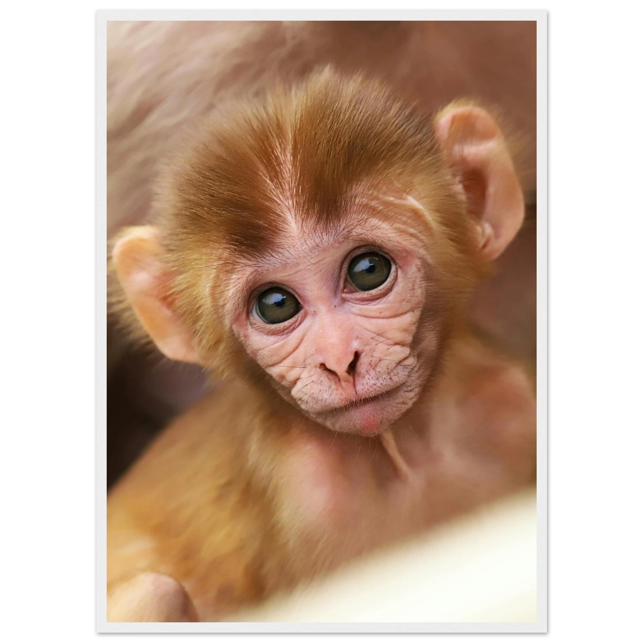 f5cb8bcb-3ddd-489c-8e36-cec75185b8e7