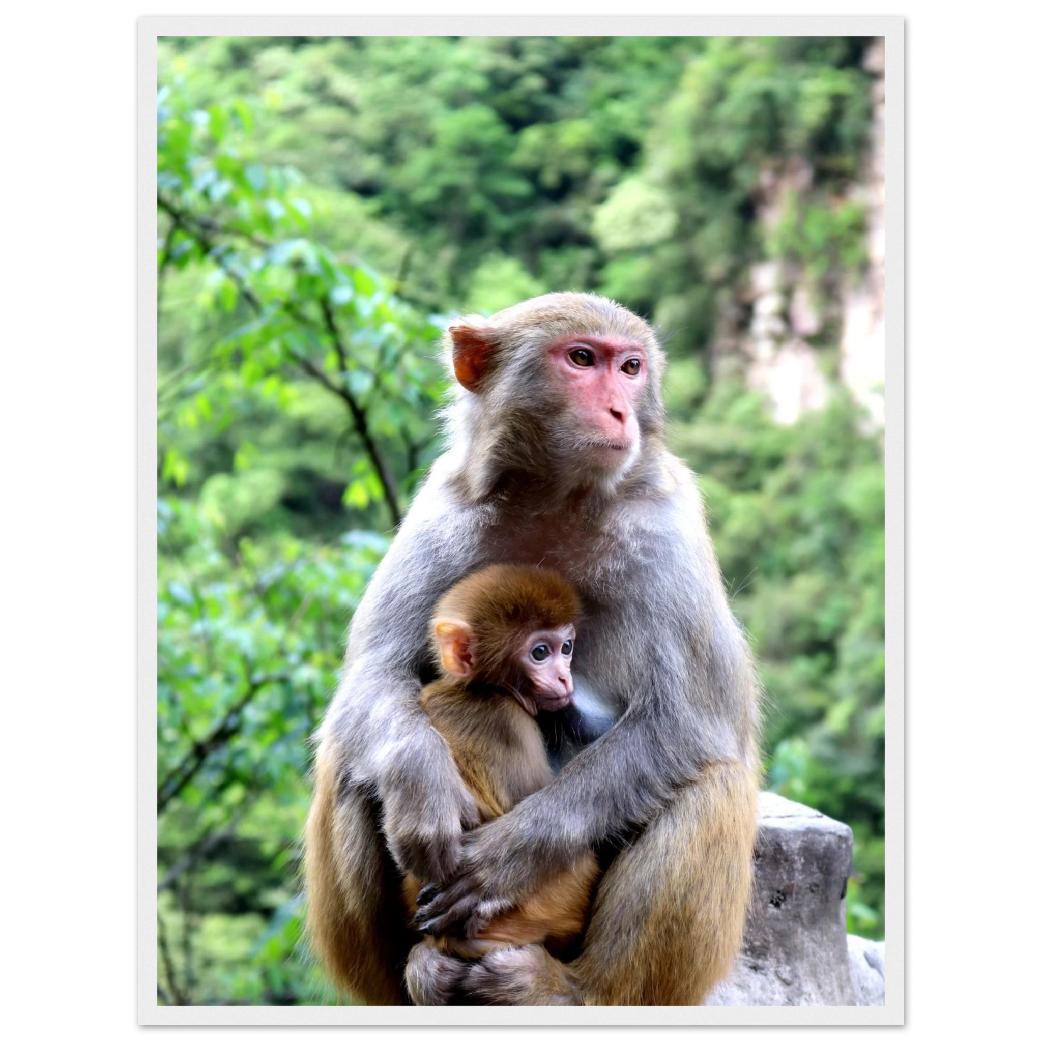 f5ce7c18-33de-4121-bb3a-6058c68feade