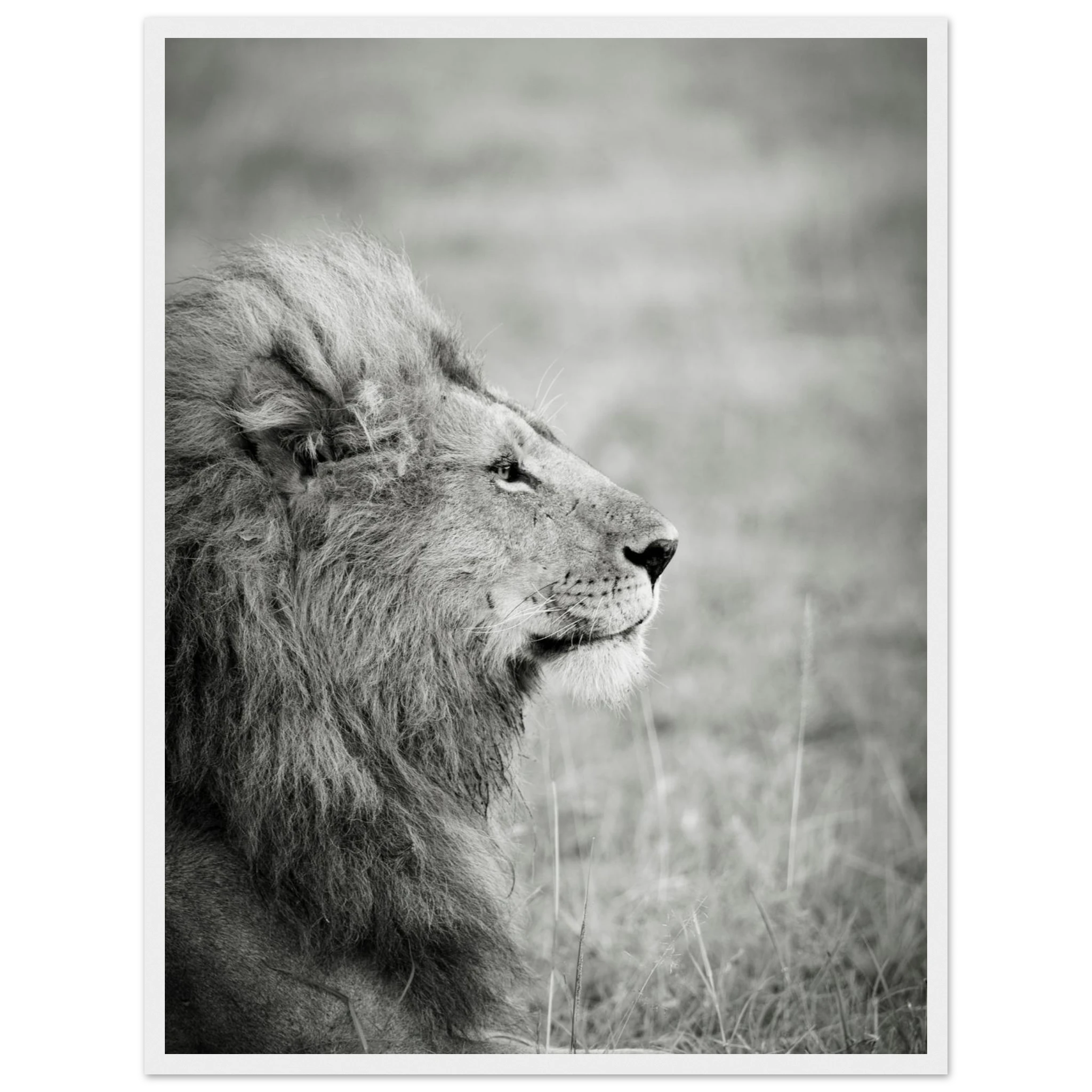 f5f8469b-93e5-4178-9fbd-f9c66200eed9