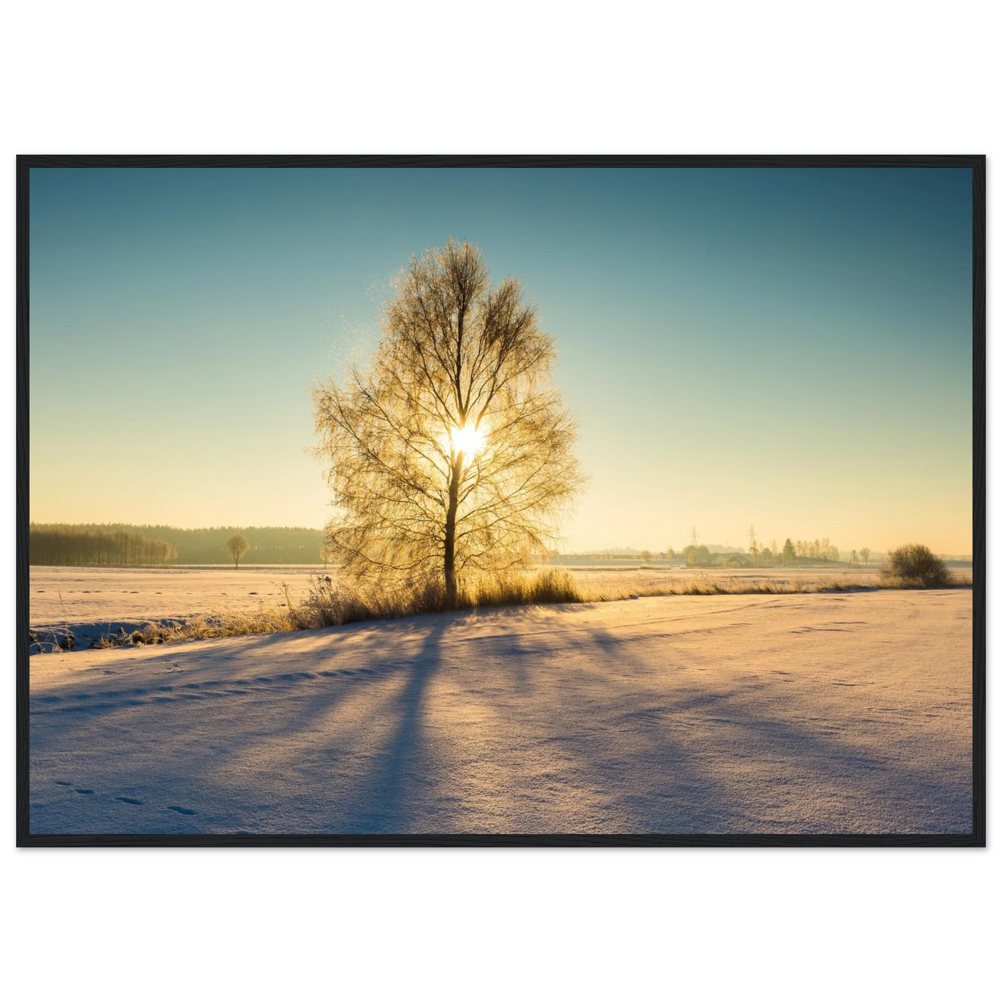 f6226c19-df07-42f2-86be-c77bcda99972