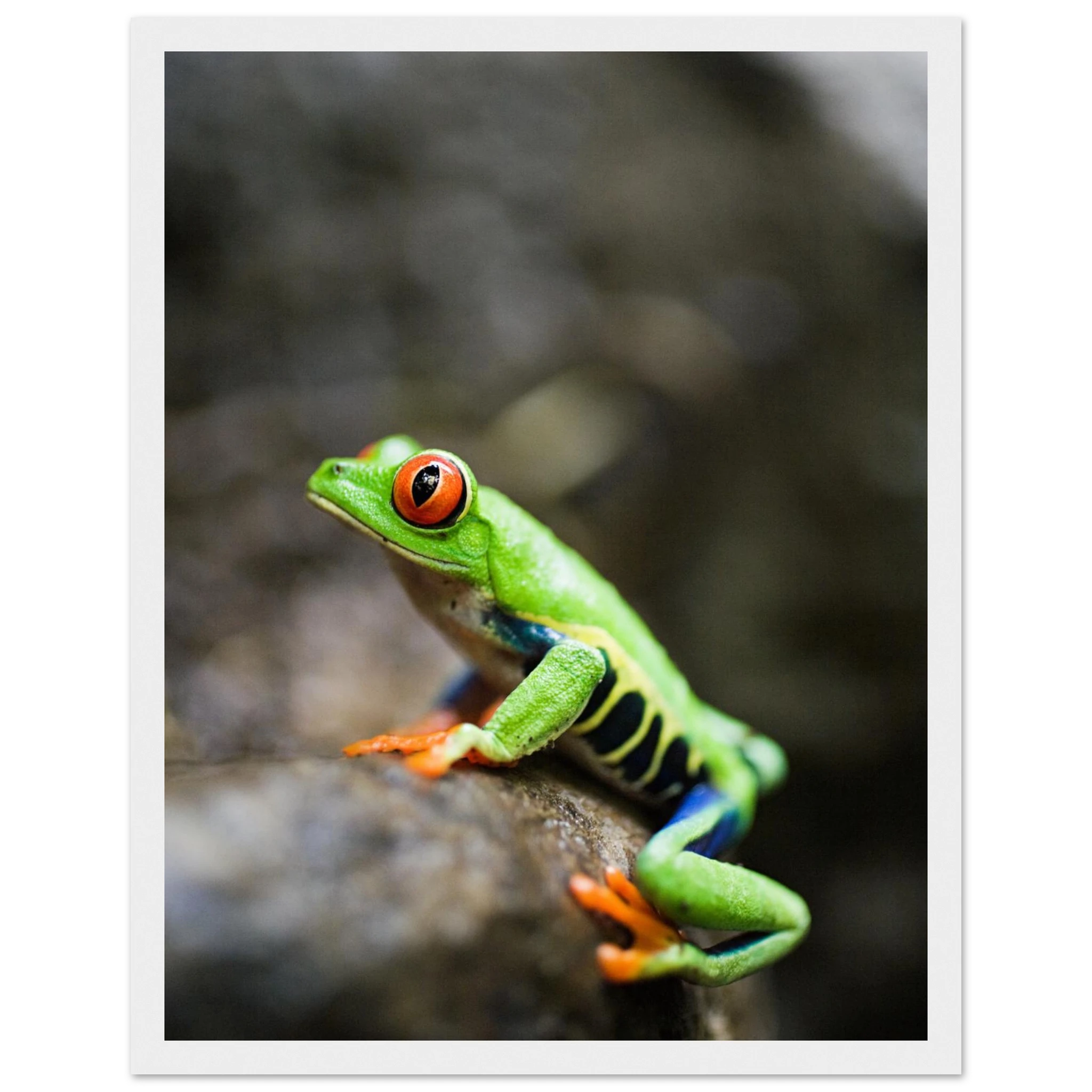 f627f939-56b6-4178-b5ad-9b3abbc00fbc