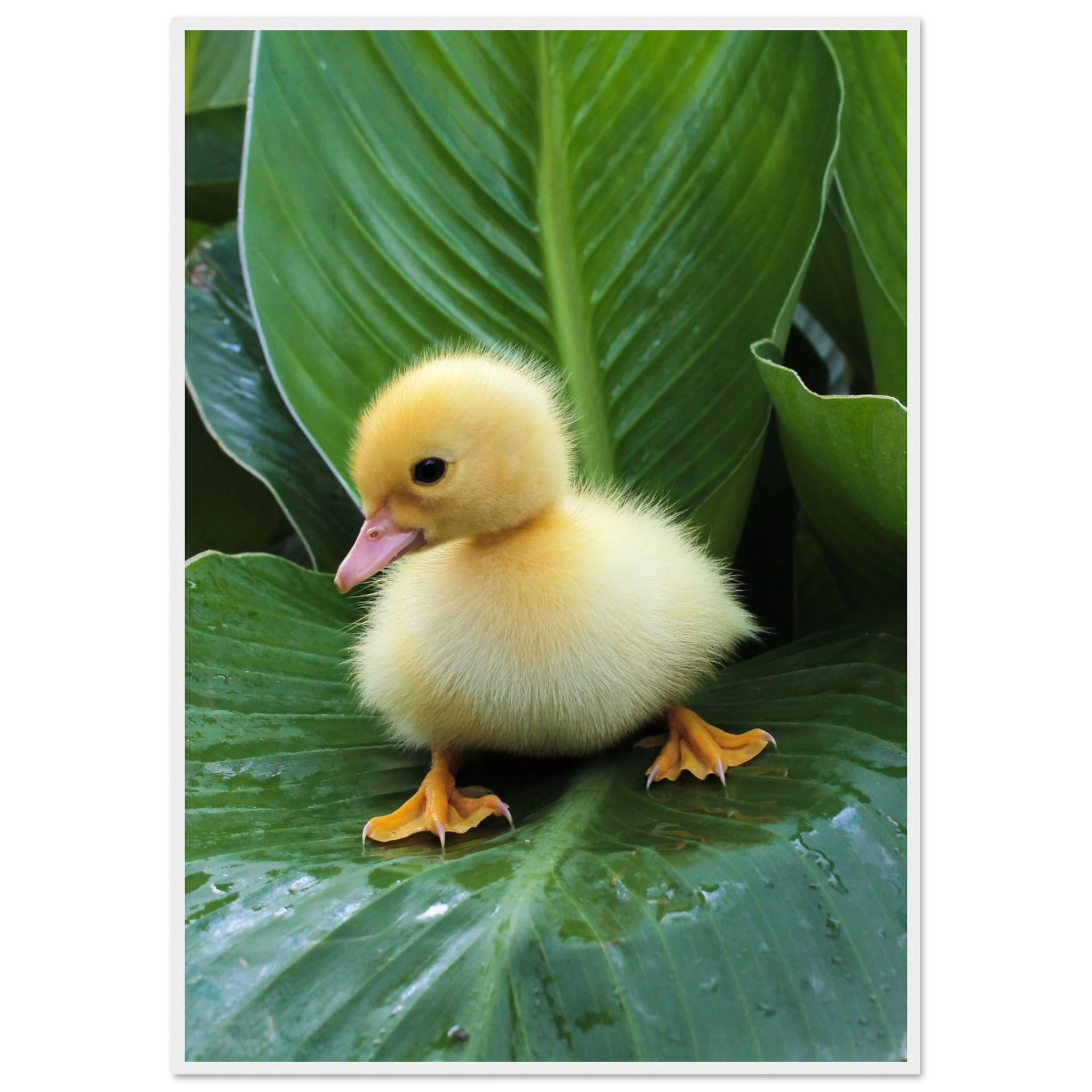 f64f636a-c982-4a99-95be-7405b597d07b