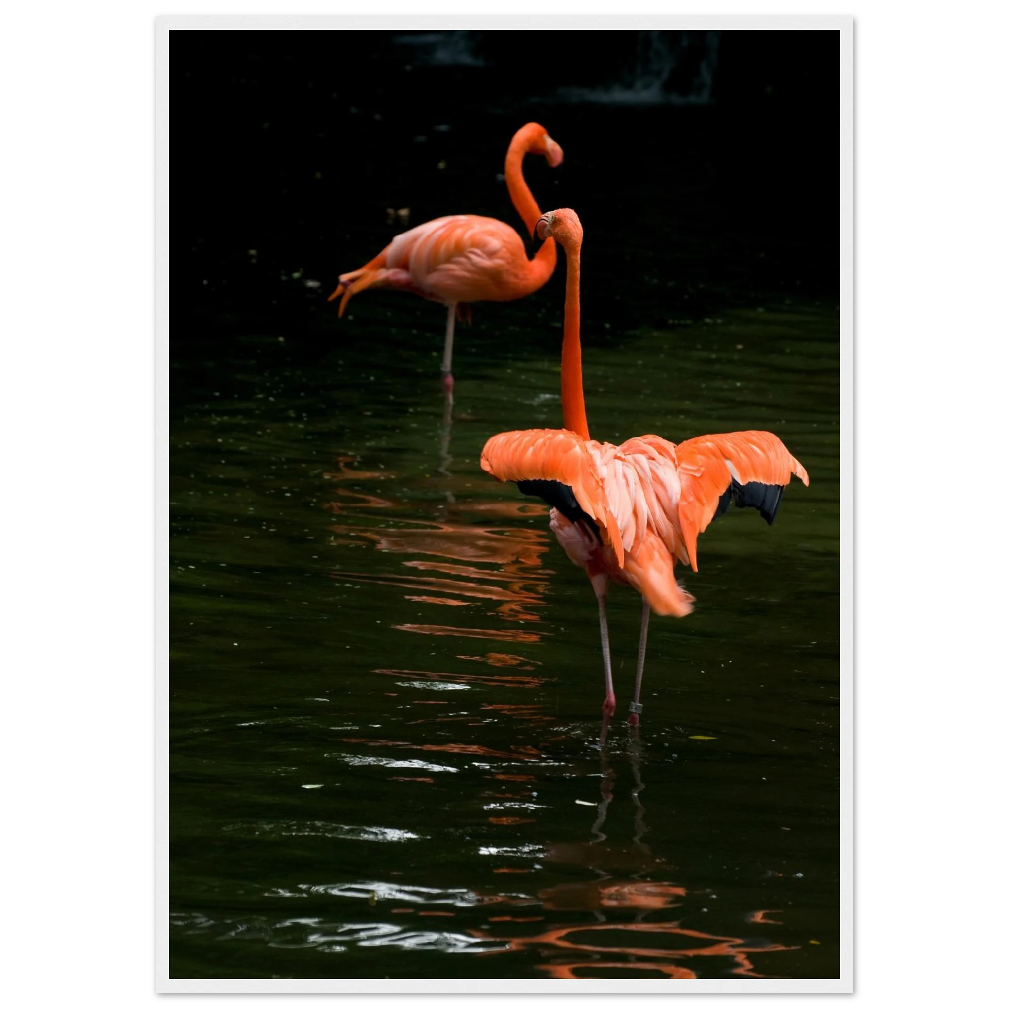 f660d592-4e1c-46da-a27e-bd660e46b63e