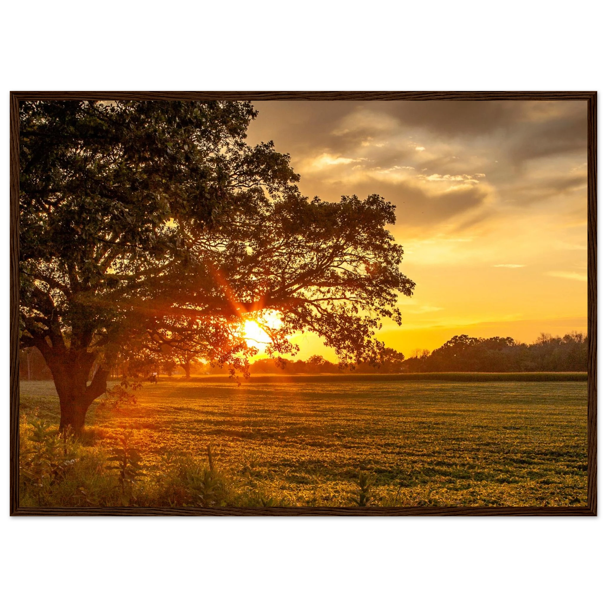 f67cb1ac-4f64-4568-8b5e-427a23da6f41