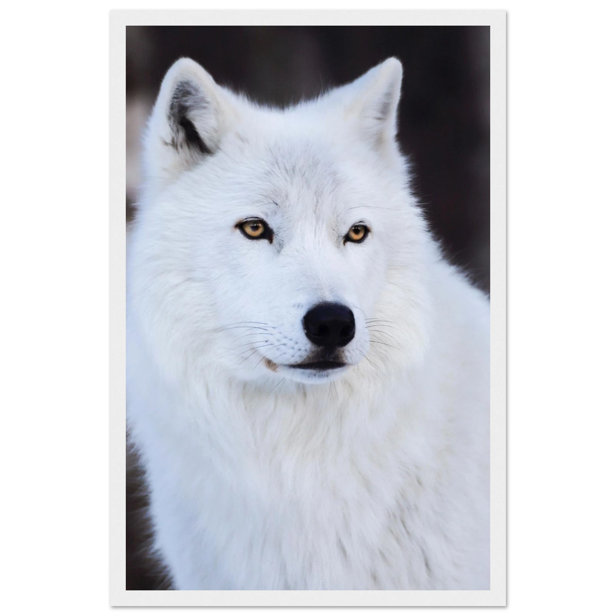 f6da5a3c-e183-4316-8437-1f0027999e13