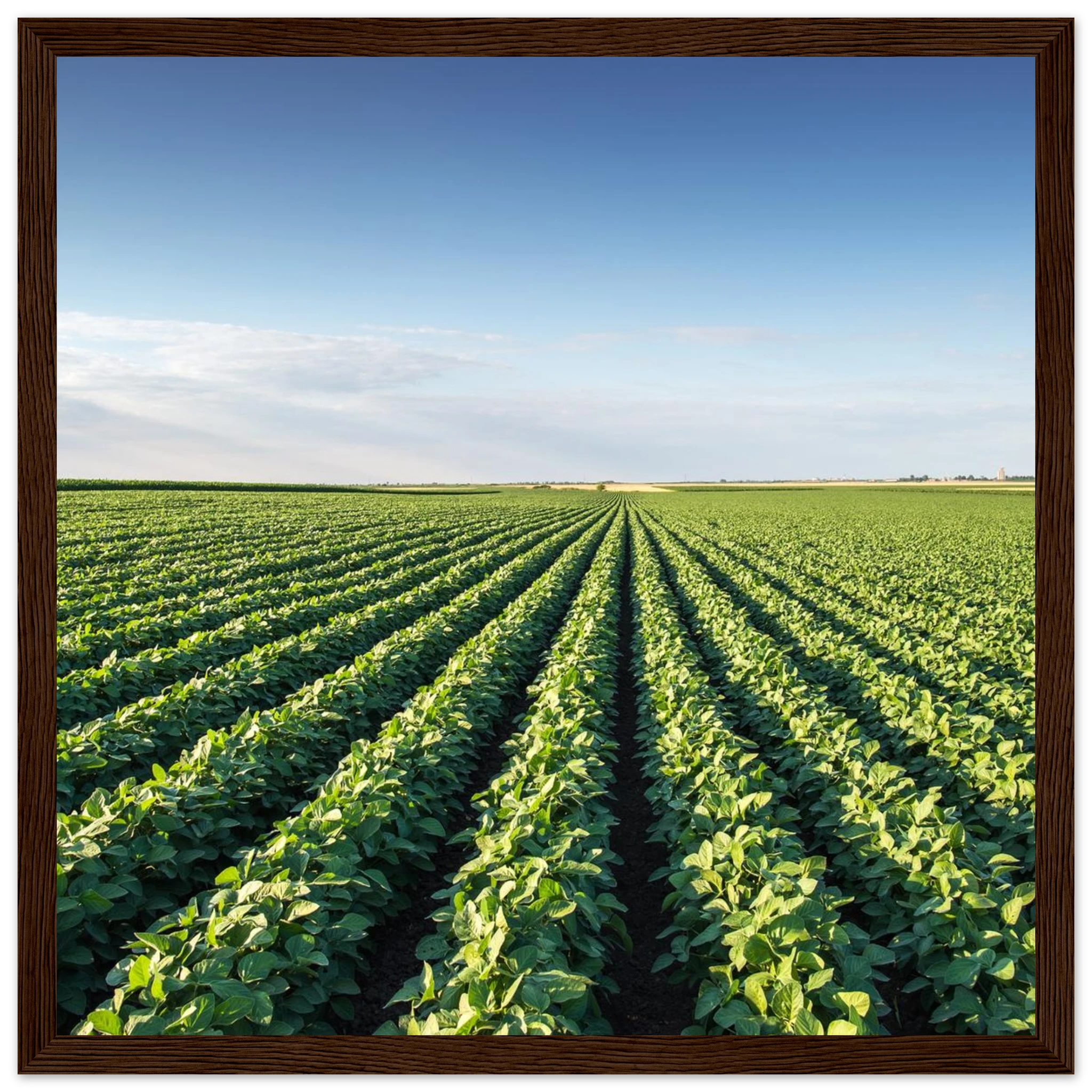 f6ff7703-dd90-4b8e-b6e8-ff719ce085ae