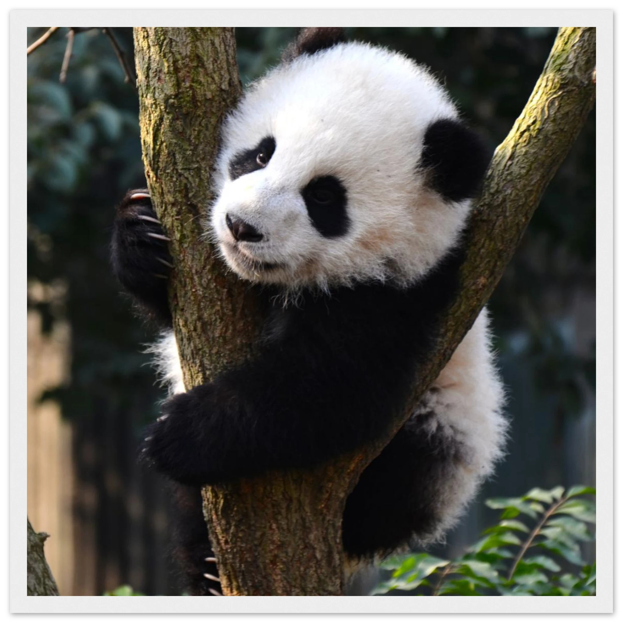 f709f600-50ca-4719-87f2-97f70ce6f443