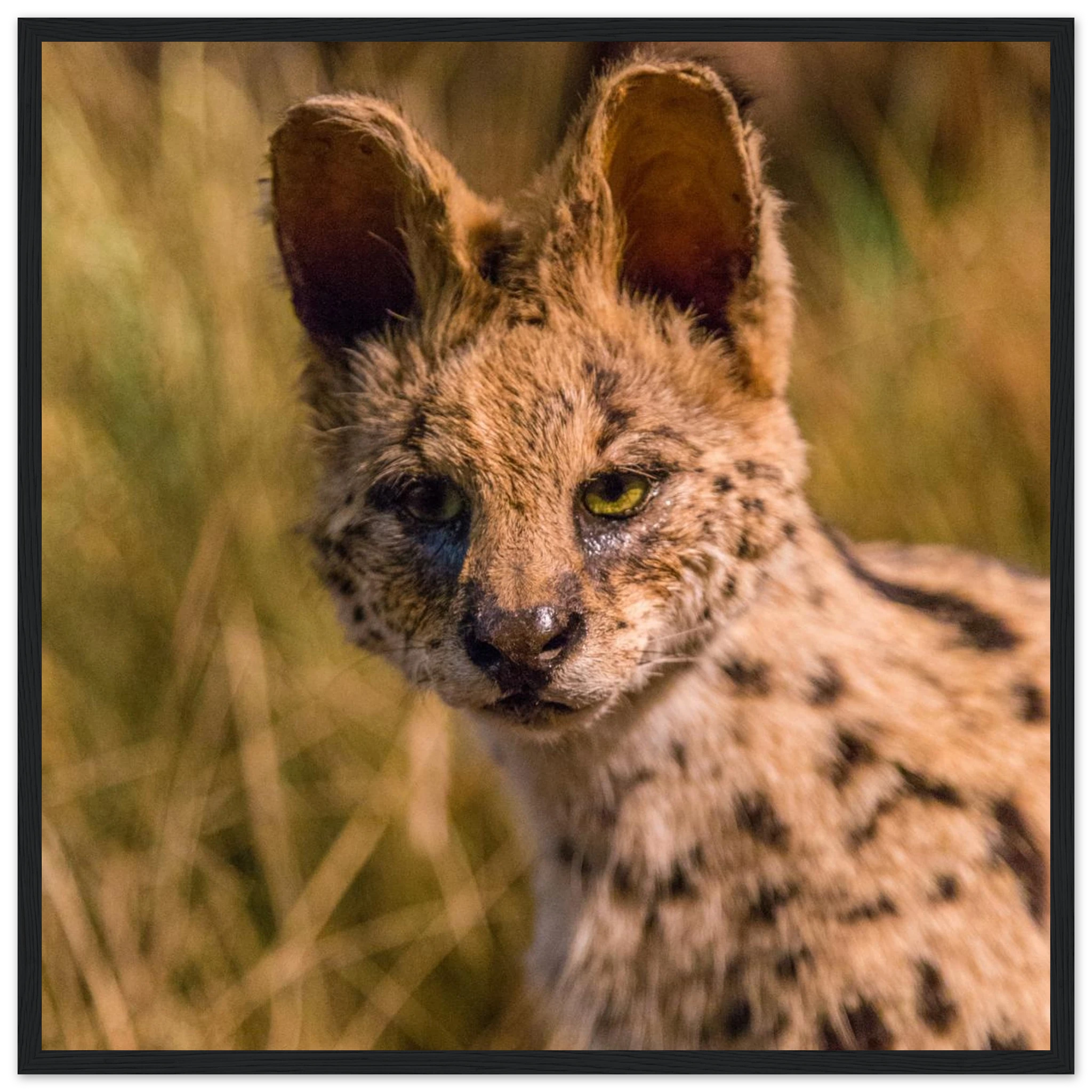 f75bffe7-d3ac-4d12-a266-7cbd3fff83dc