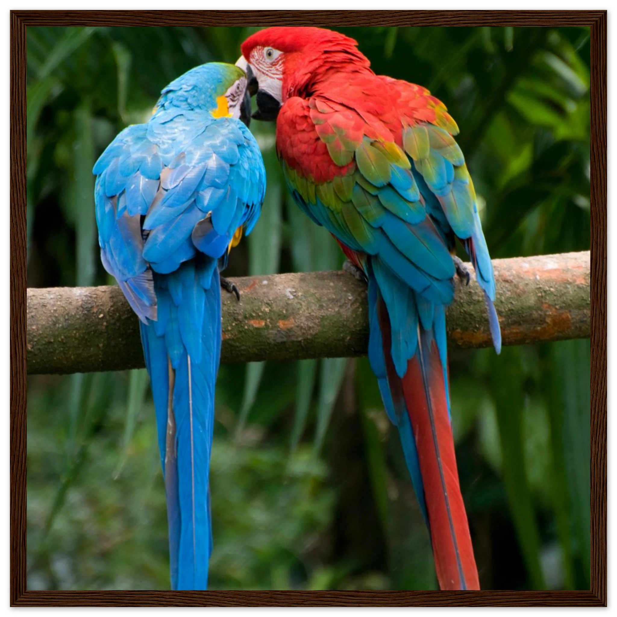 f75ecb72-0438-4f6d-8858-f8029cd4708b