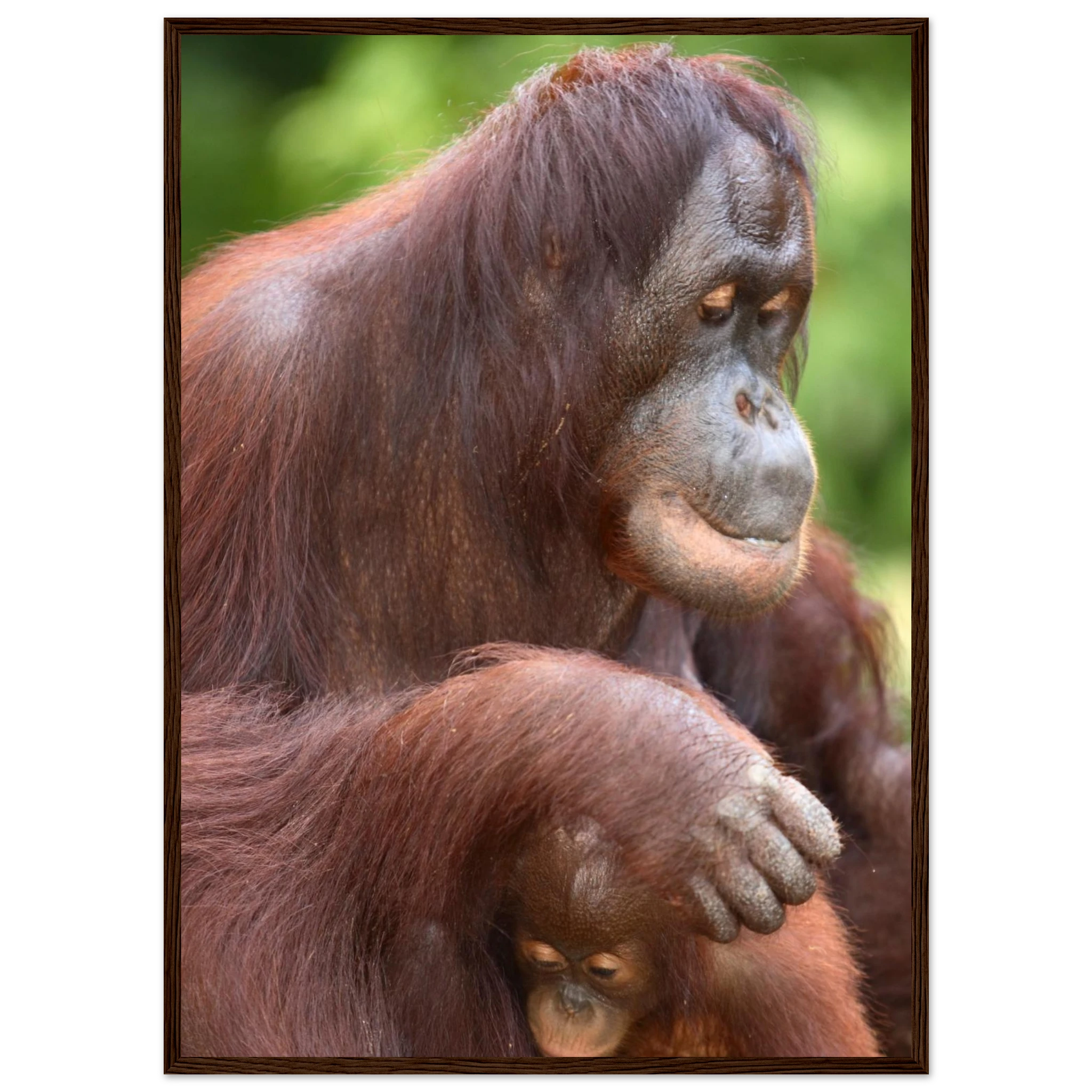 f75eede9-d592-4480-b31f-a5f367d6548d