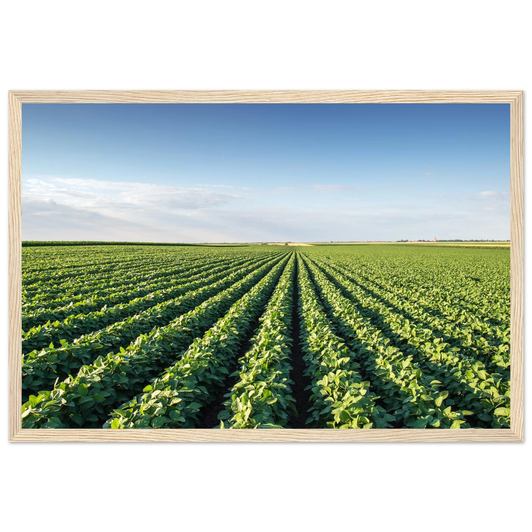 f75f8a5e-a34f-4075-a858-fca4ba945b53