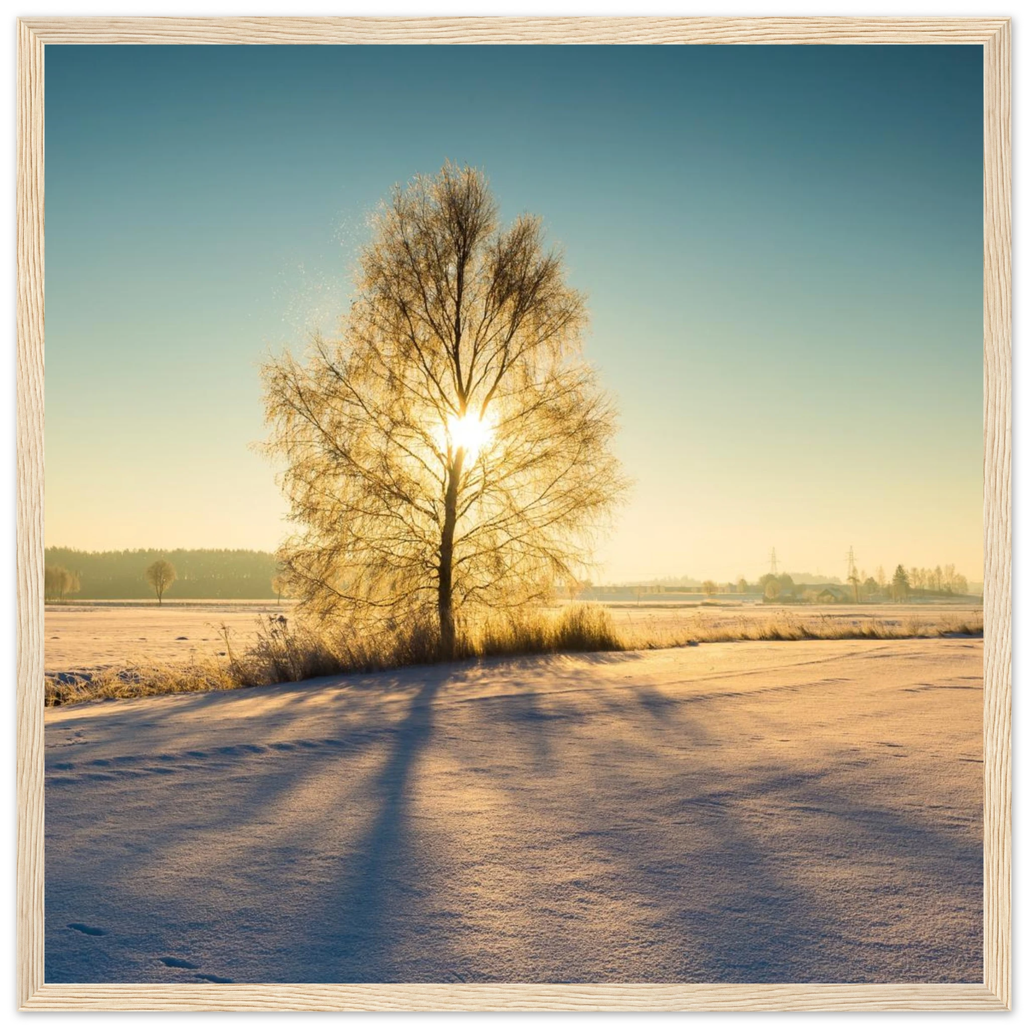 f7895552-f4f1-4c66-a500-a378d99c61b3