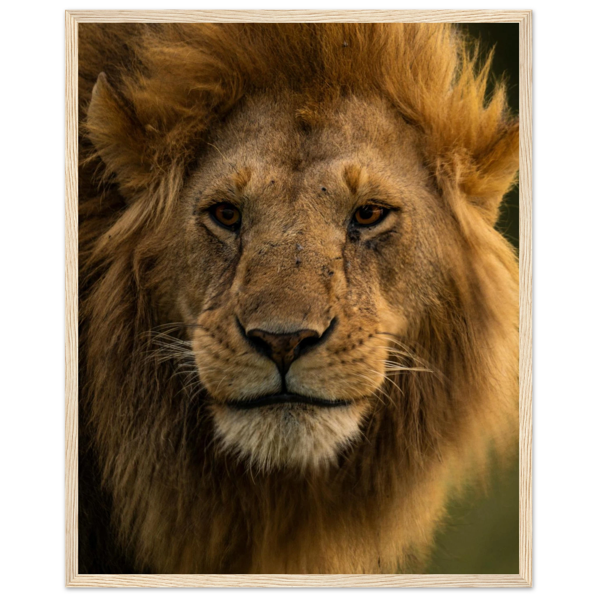 f79cac49-cb61-4023-bd23-6bd5bc5f9c6b